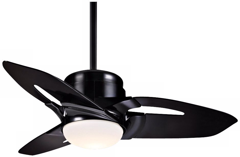 36" Starlet™ Black Ceiling Fan