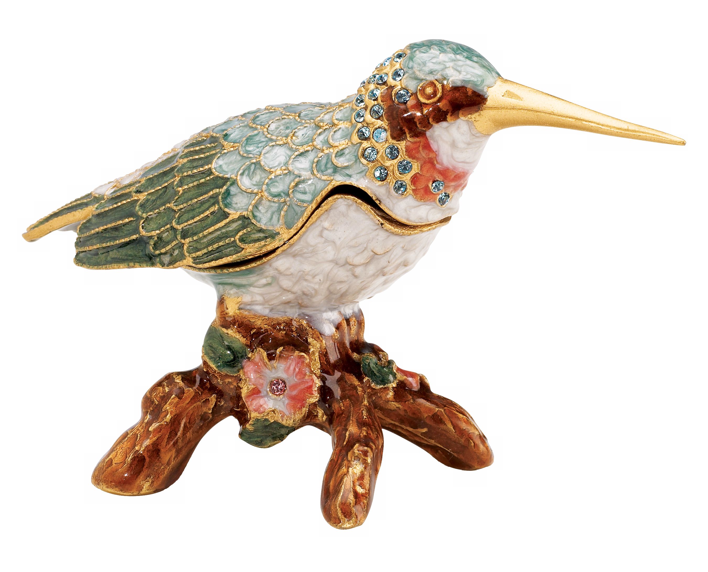 Jeweled Teal Humming Bird