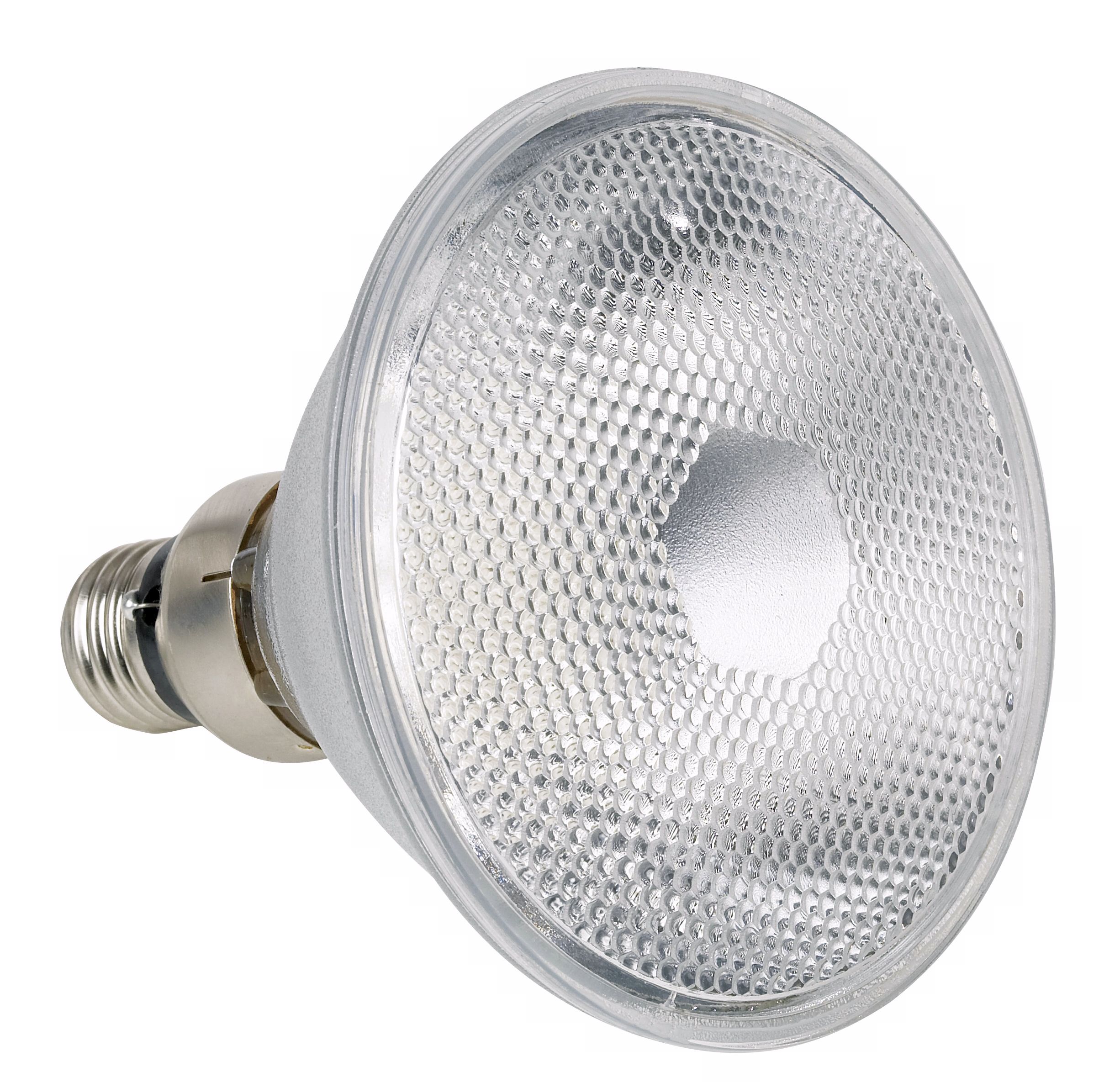 45 Watt PAR38 Flood Light Bulb