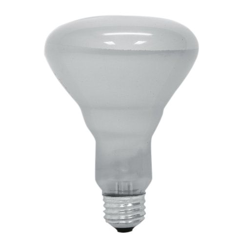 GE 65 Watt R30 Indoor Floodlight Bulb