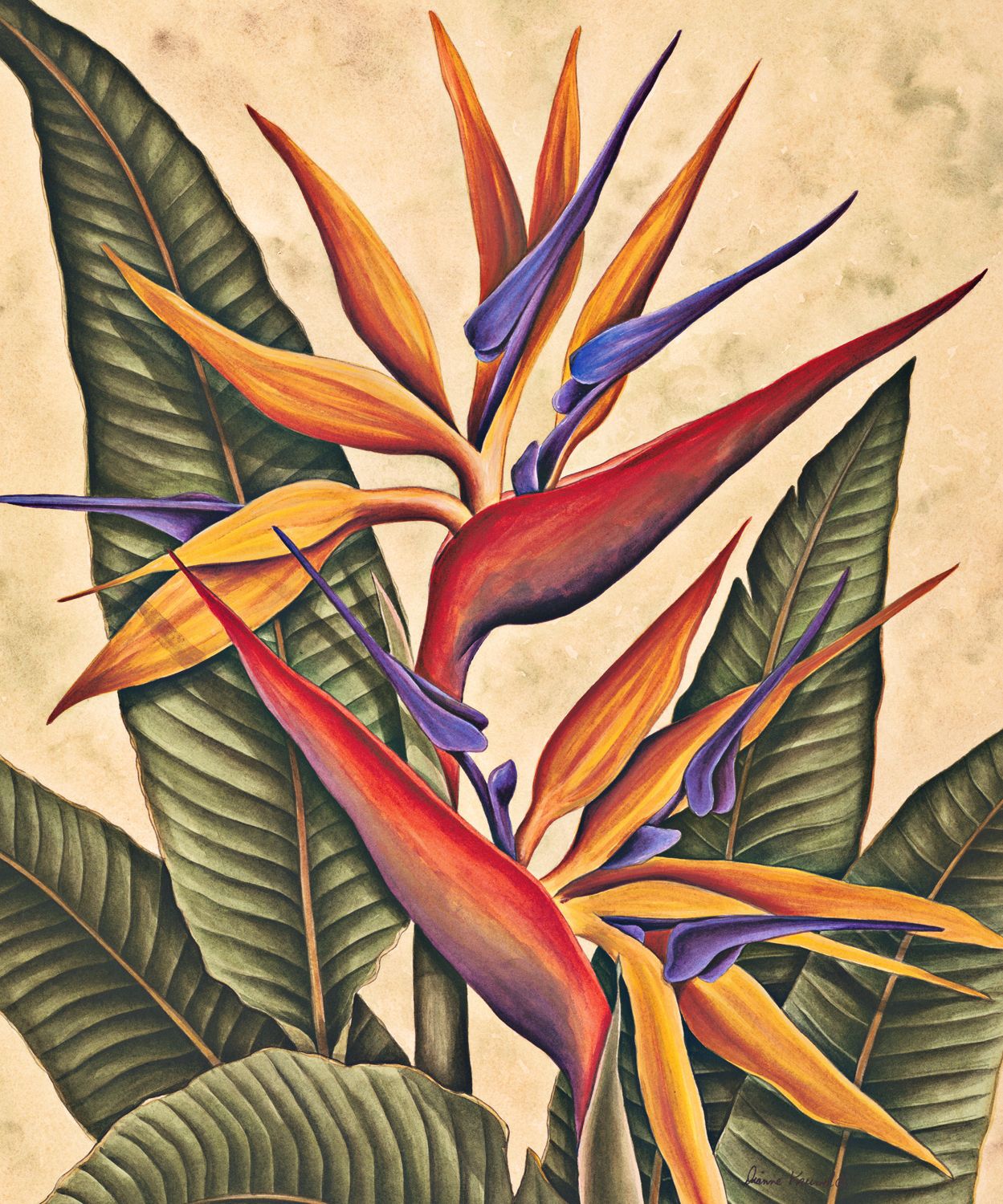 Tropical Bird Of Paradise 32" High Outdoor Wall Art