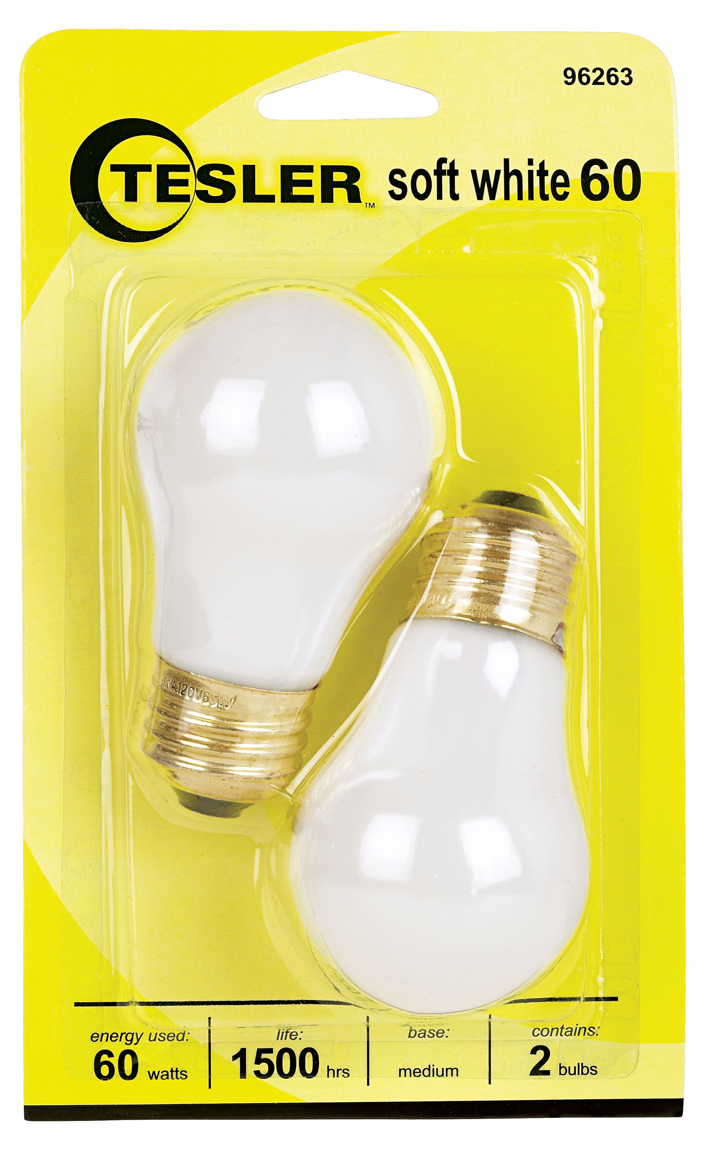 Tesler 60 Watt 2-Pack Soft White Ceiling Fan Light Bulbs