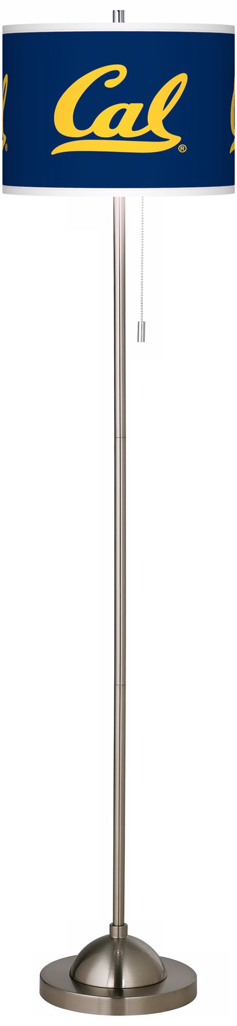 University of California Berkeley Brushed Nickel Floor Lamp