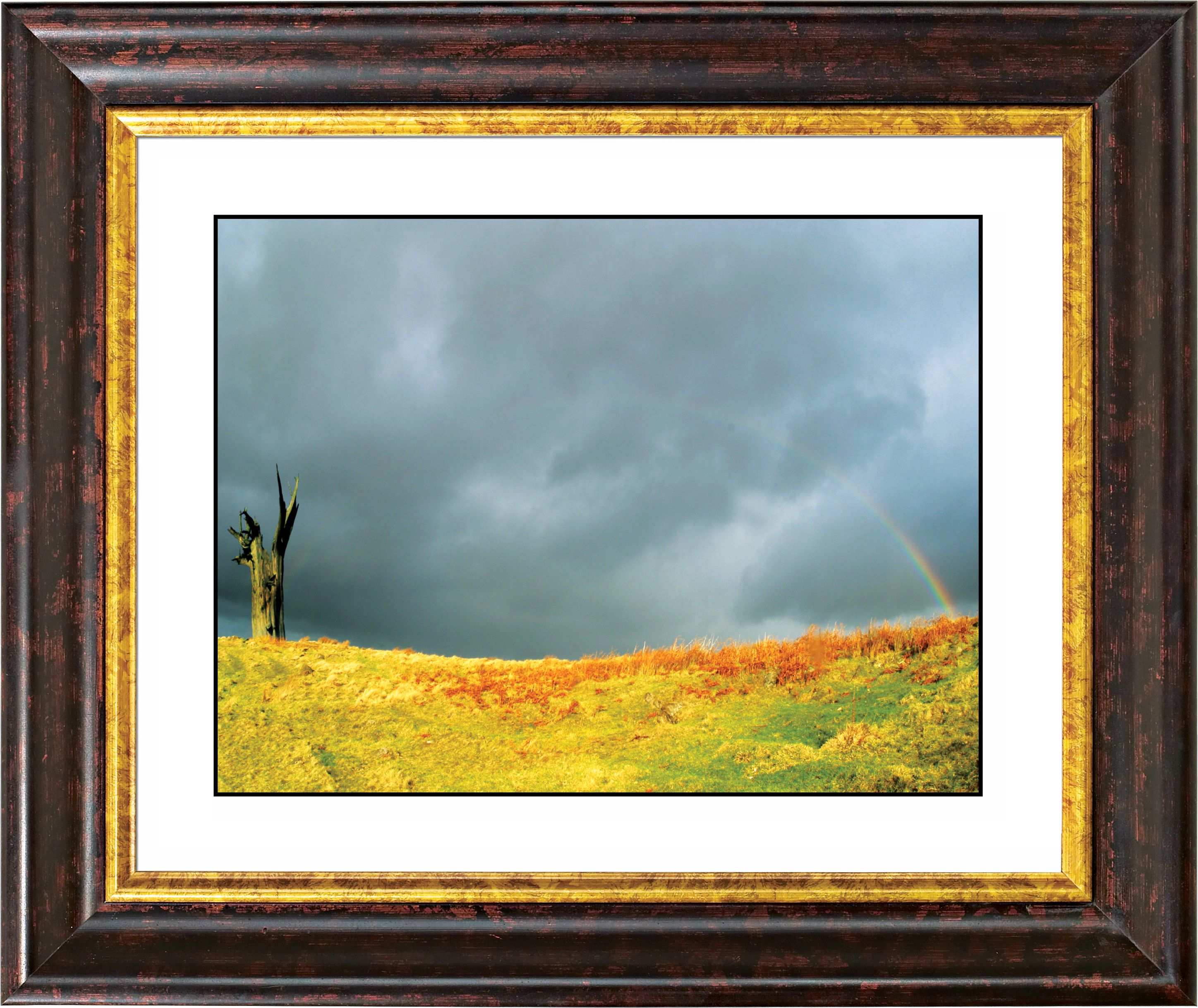 After The Rain Copper Bronze Frame 24 78 Wide Wall Art F0257 18014