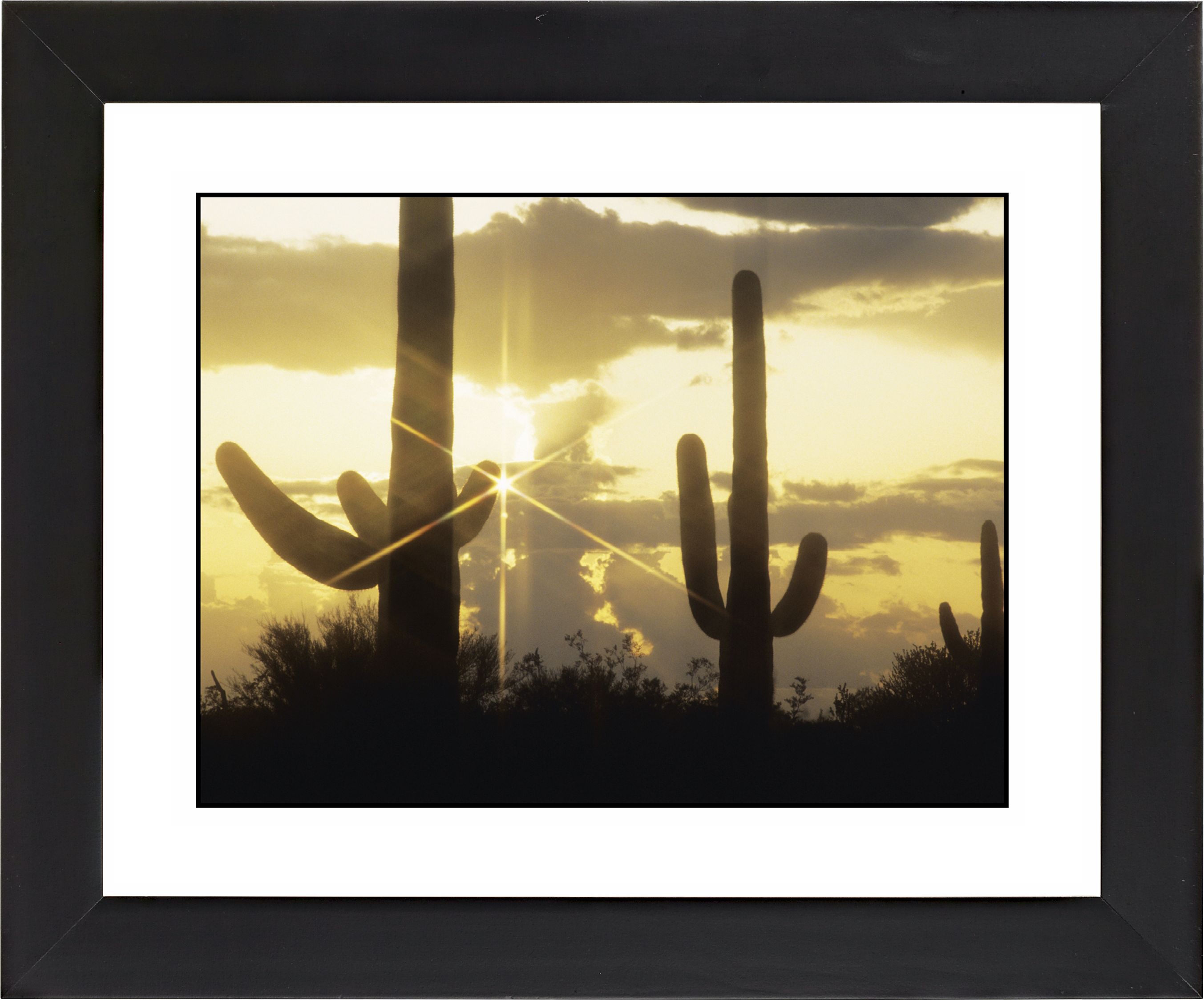 Saguaro Sunrise Black Frame Giclee Wall Art