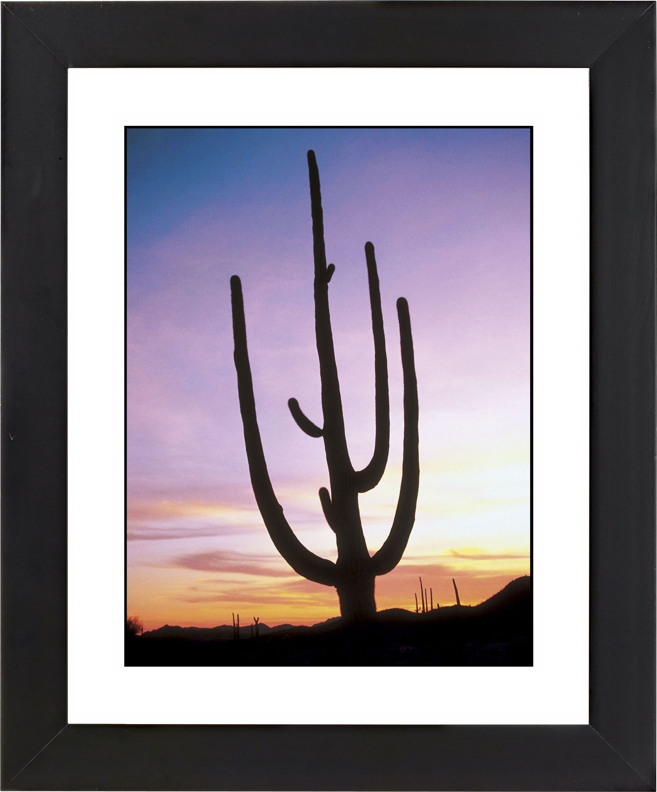 Saguaro Cactus & Sunrise Black Frame Giclee Wall Art