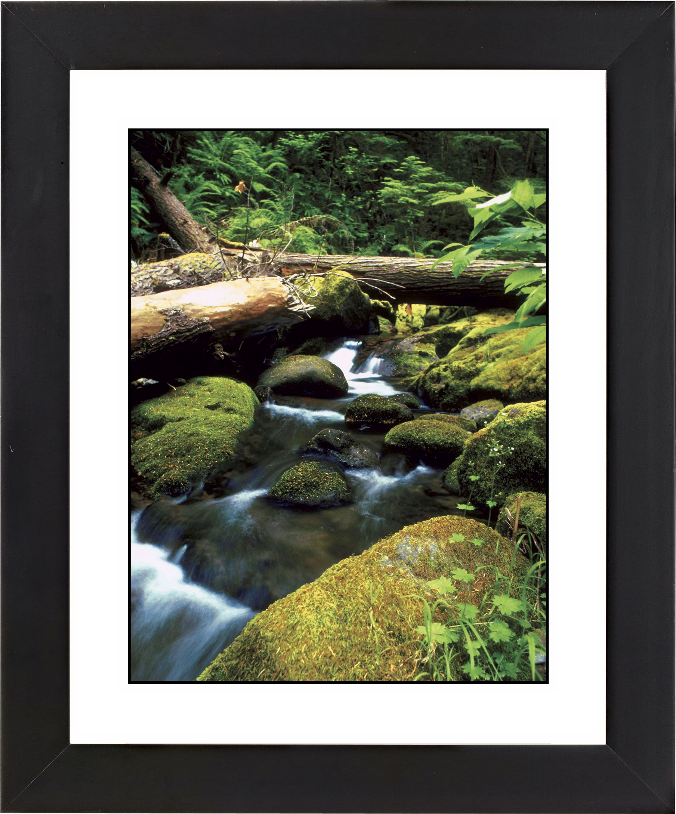Mountain Spring Black Frame Giclee Wall Art