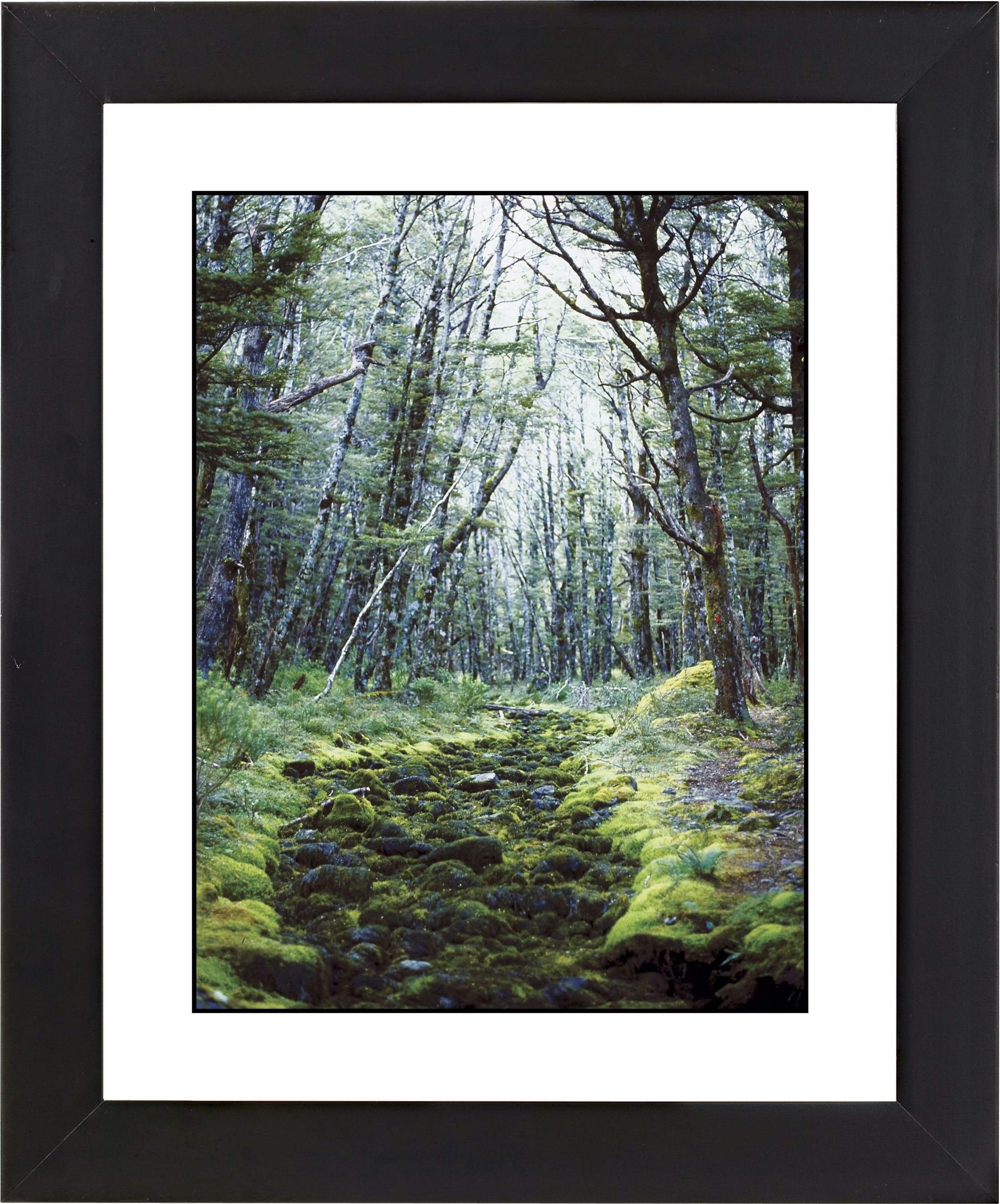 Forest Clearing Black Frame Giclee Wall Art