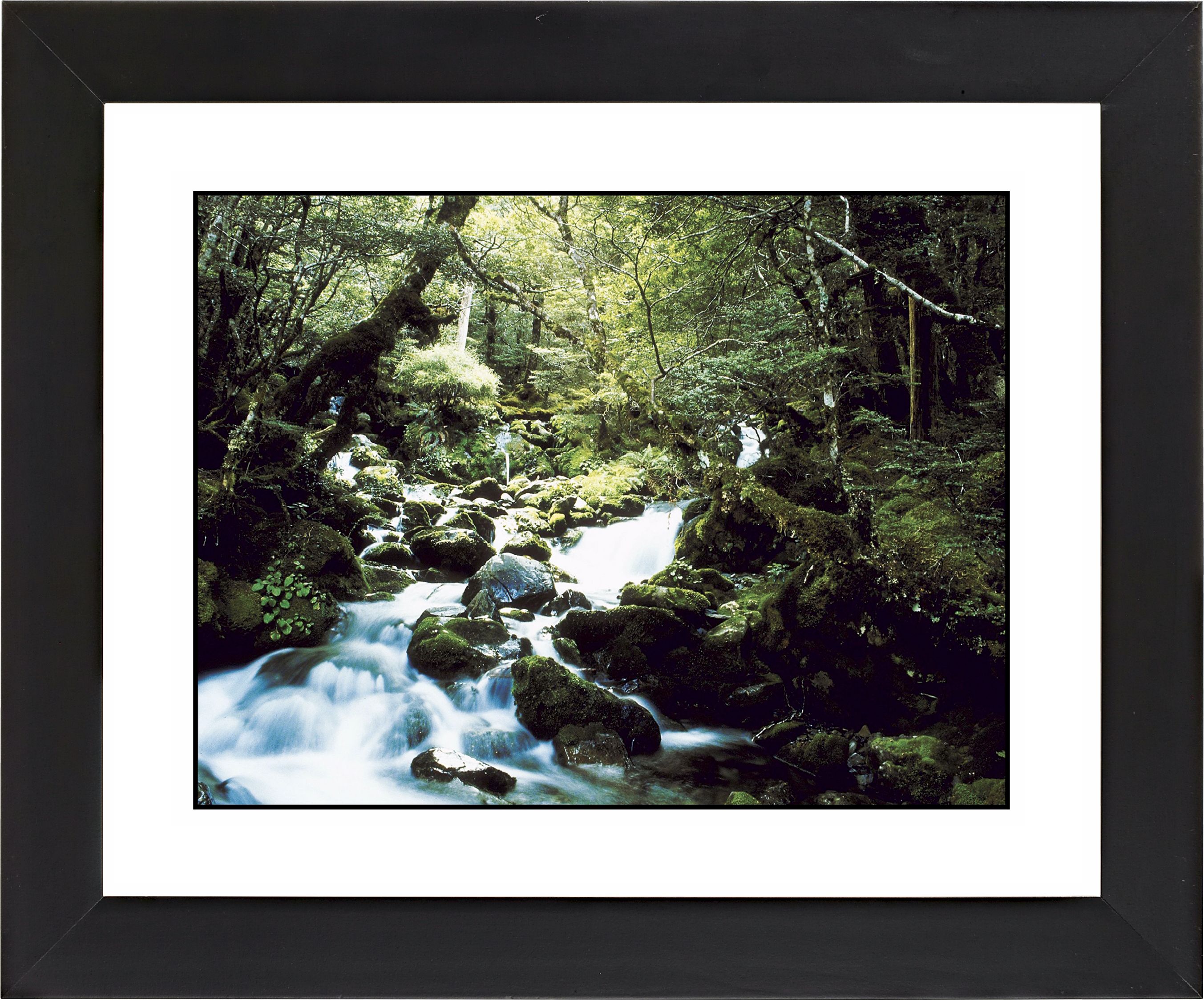Forest Brook Black Frame Giclee Wall Art