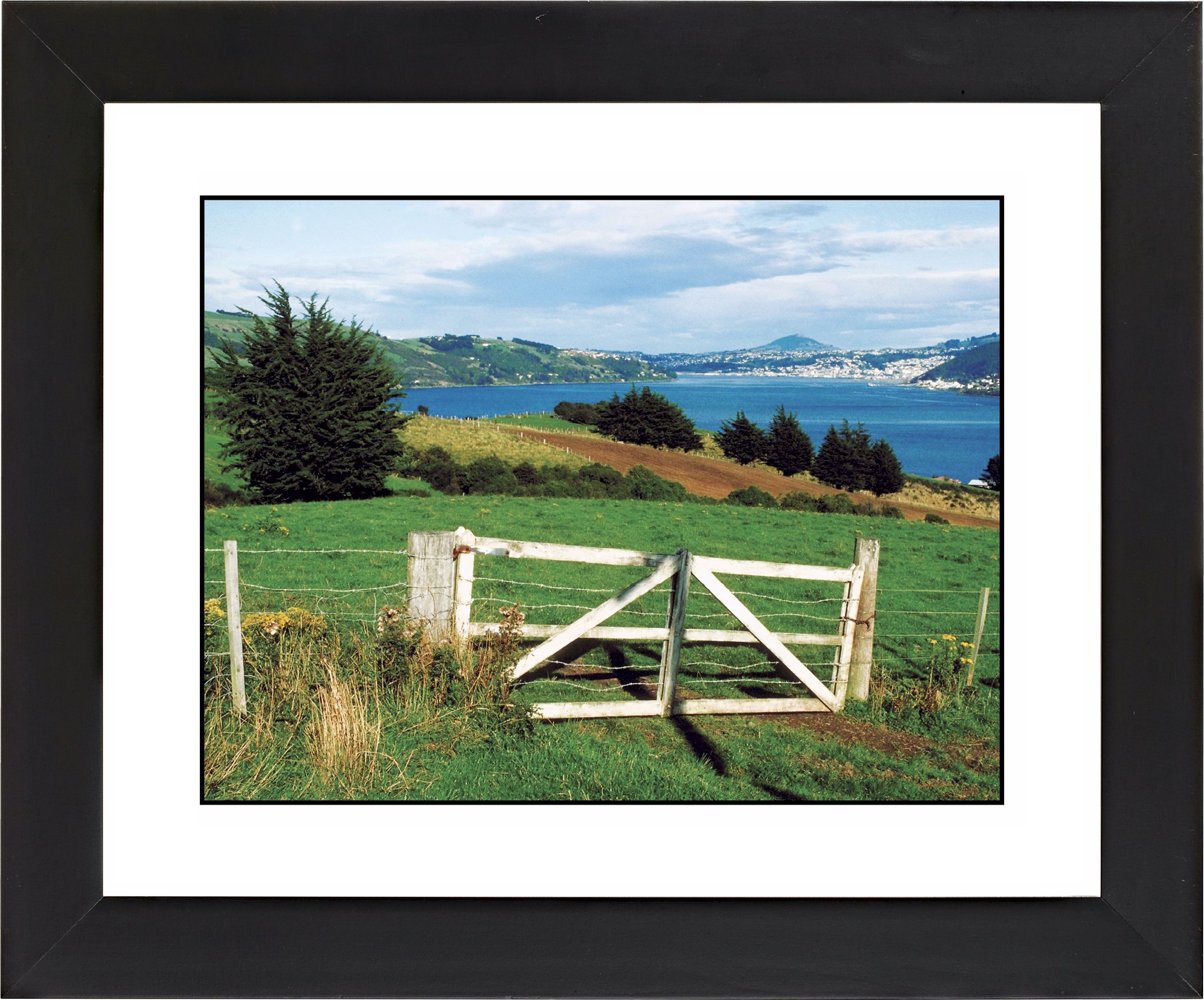 Pasture Fence Black Frame Giclee Wall Art