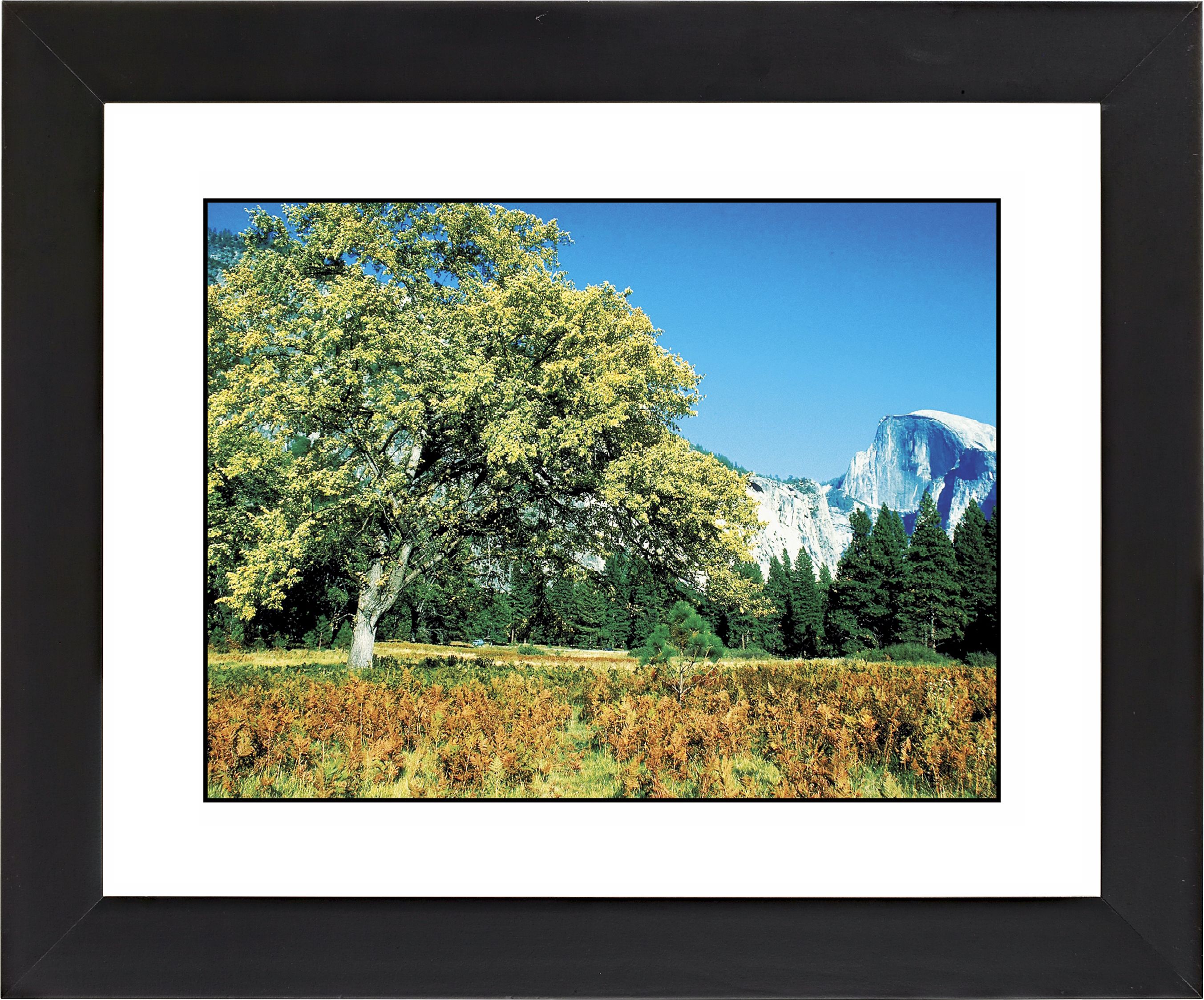 Mountain Valley Black Frame Giclee Wall Art