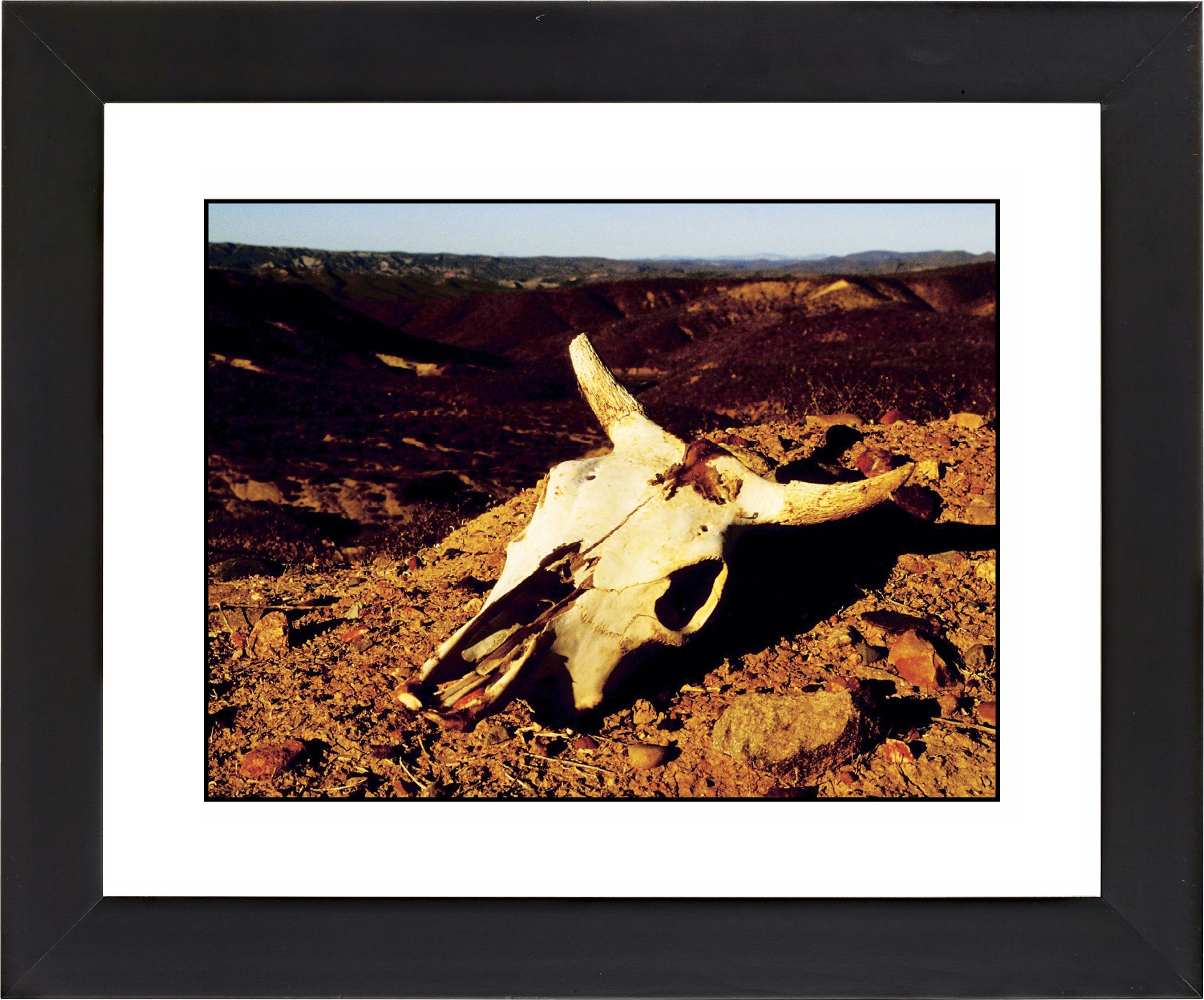 Desert Skull Black Frame Giclee Wall Art