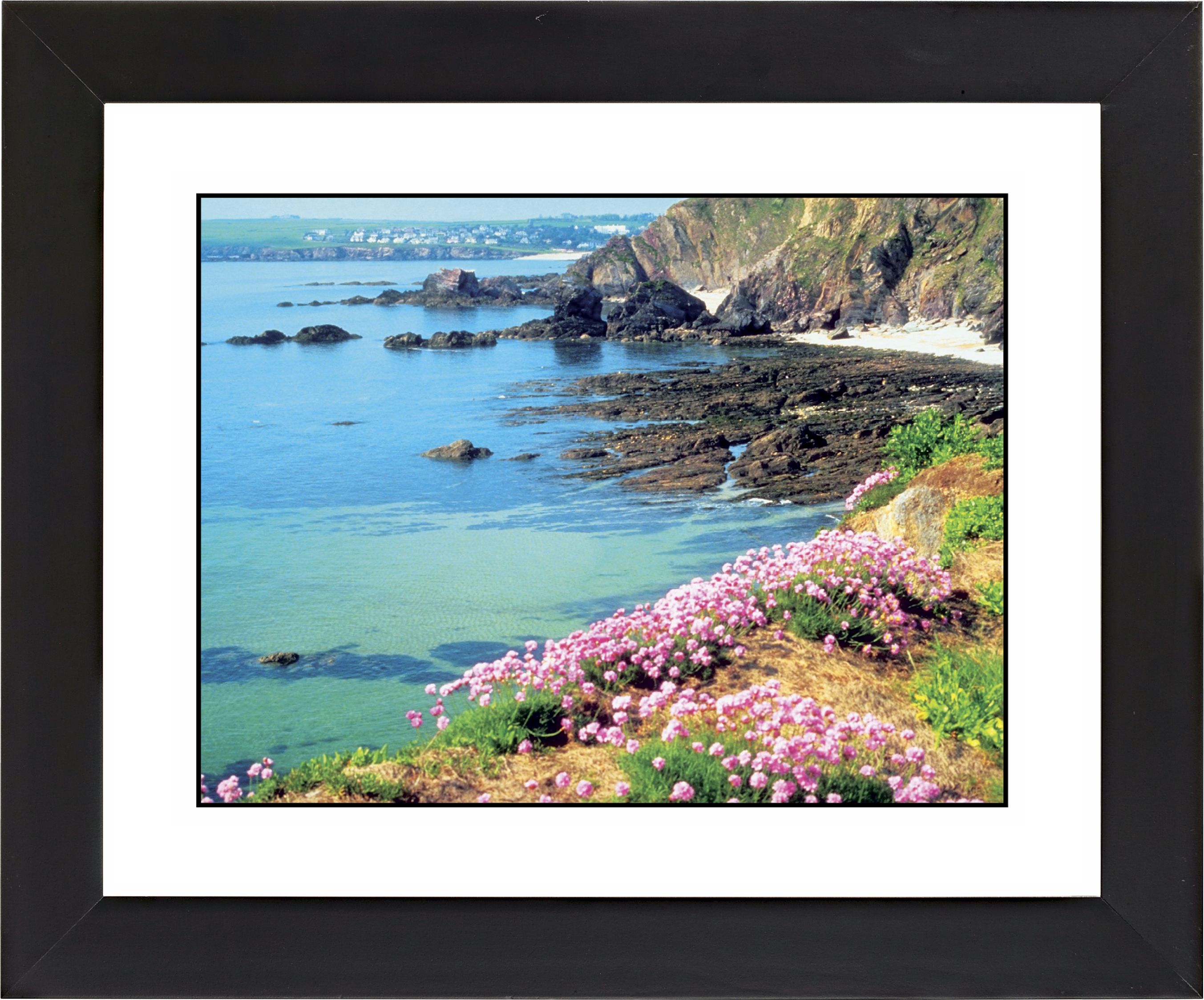 Seaside Flowers Black Frame Giclee Wall Art