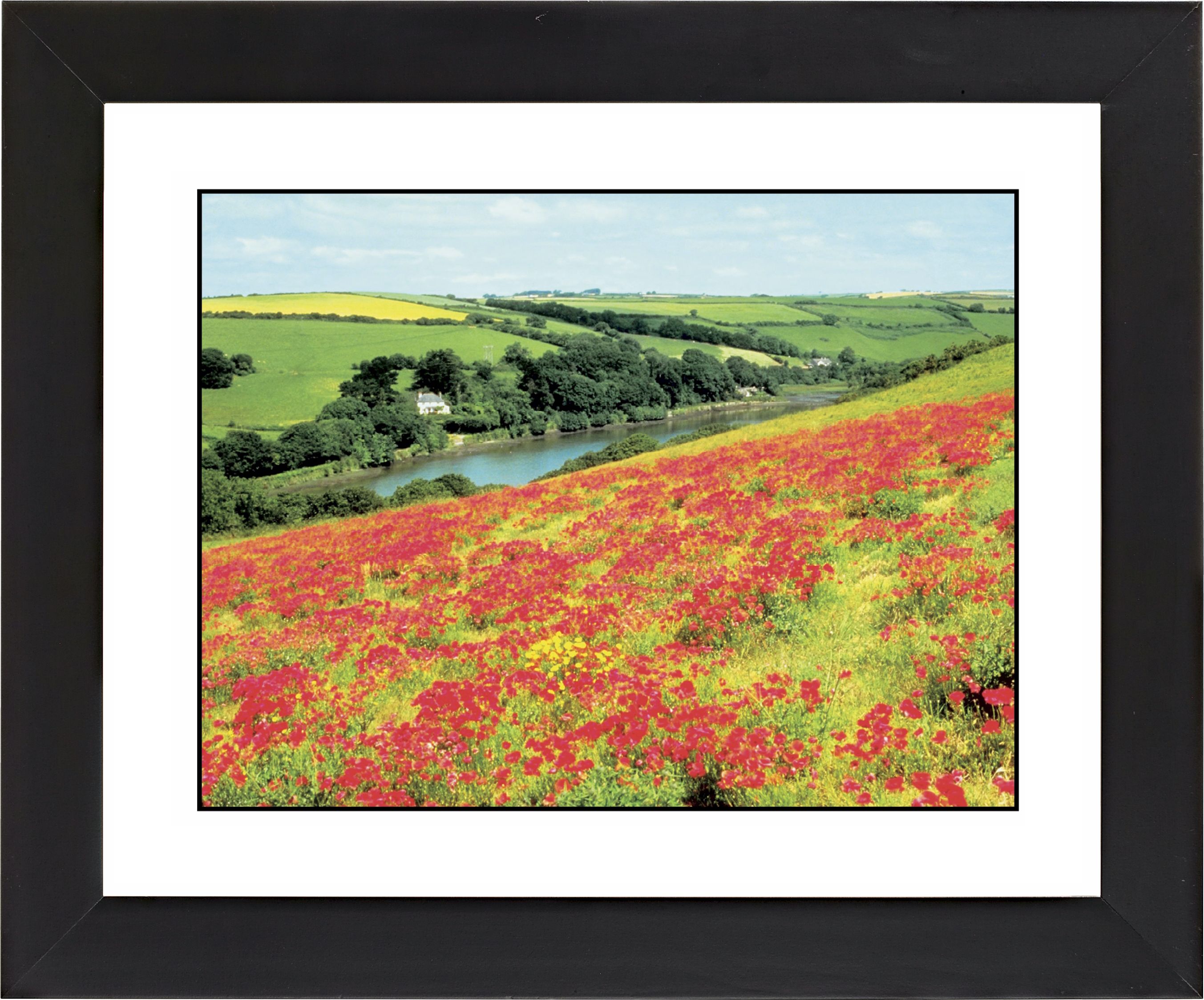 Poppy Fields Black Frame Giclee Wall Art