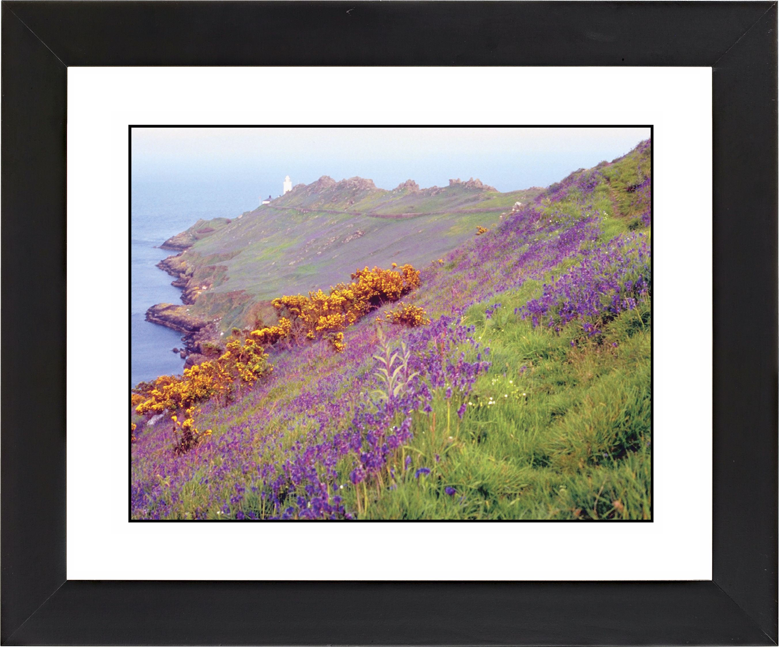 Cliff Flowers Black Frame Giclee Wall Art