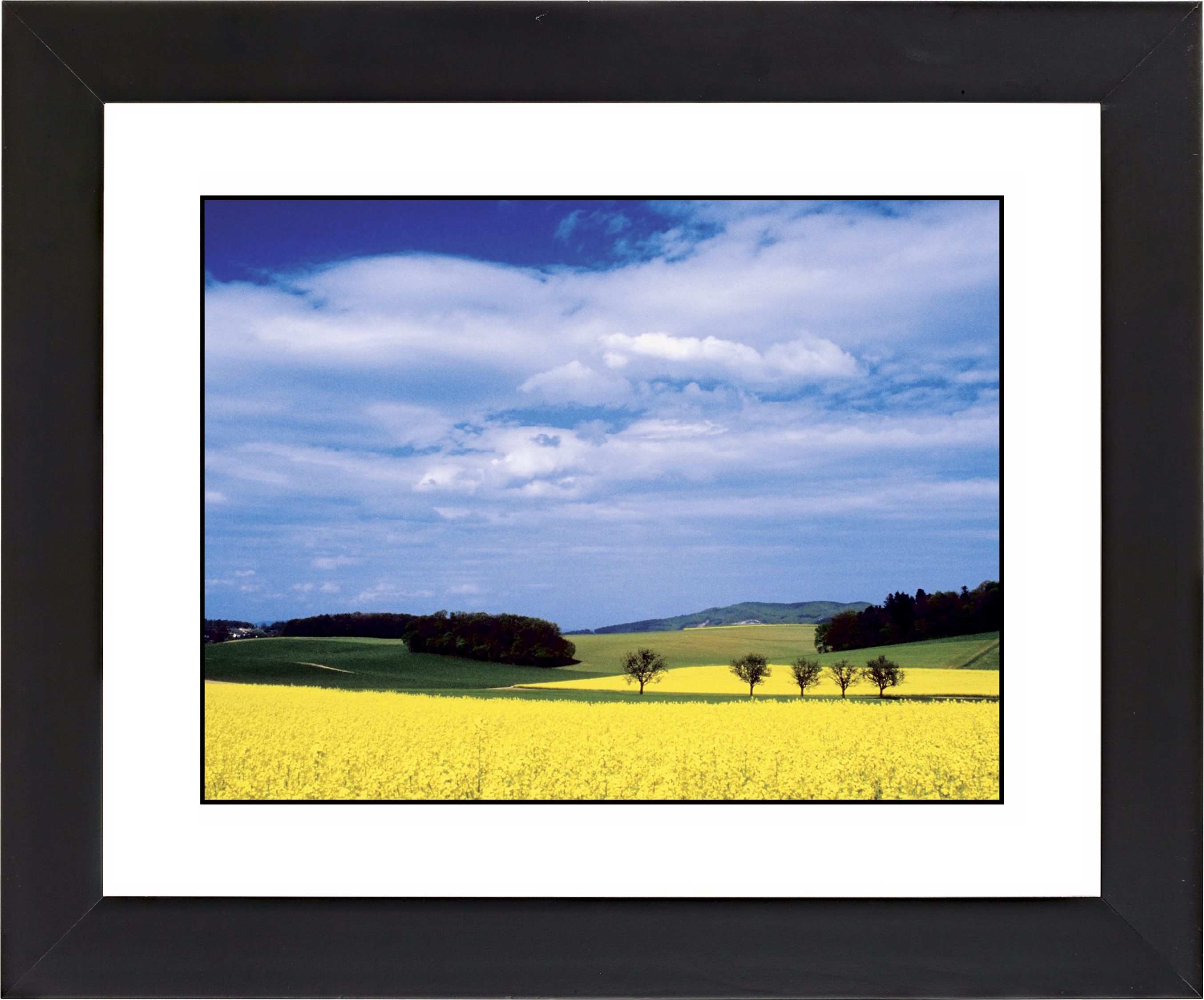 Mustard Flowers Black Frame Giclee Wall Art