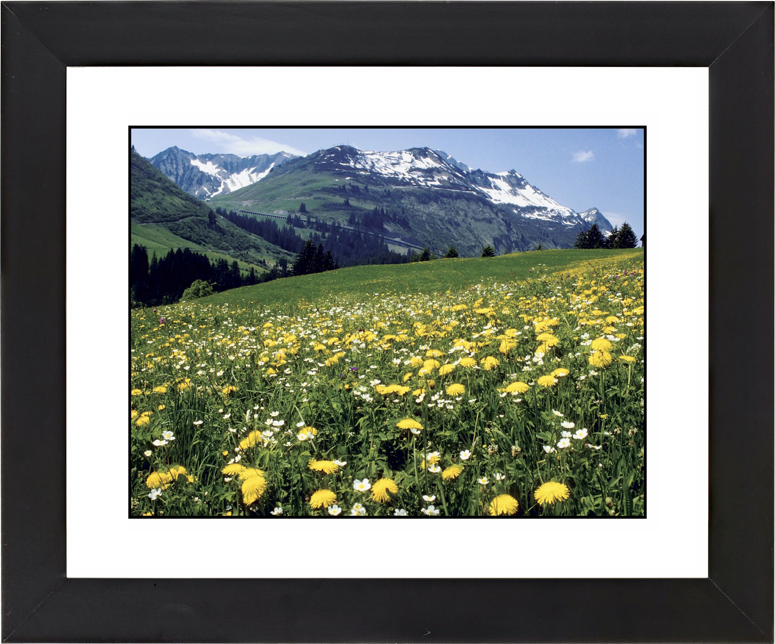 Mountain Flower Meadow Black Frame Giclee Wall Art