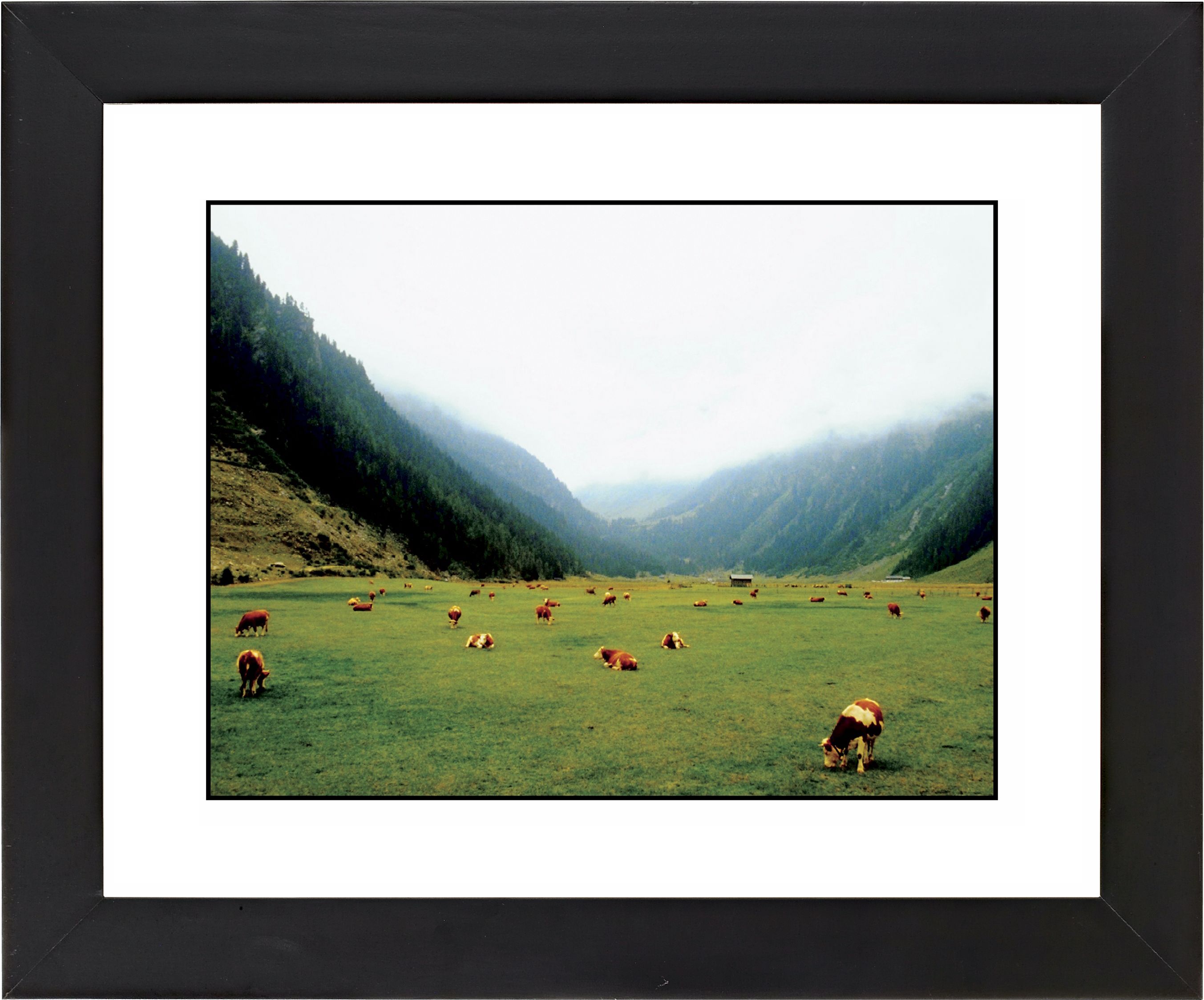 Alpine Pasture Black Frame Giclee Wall Art