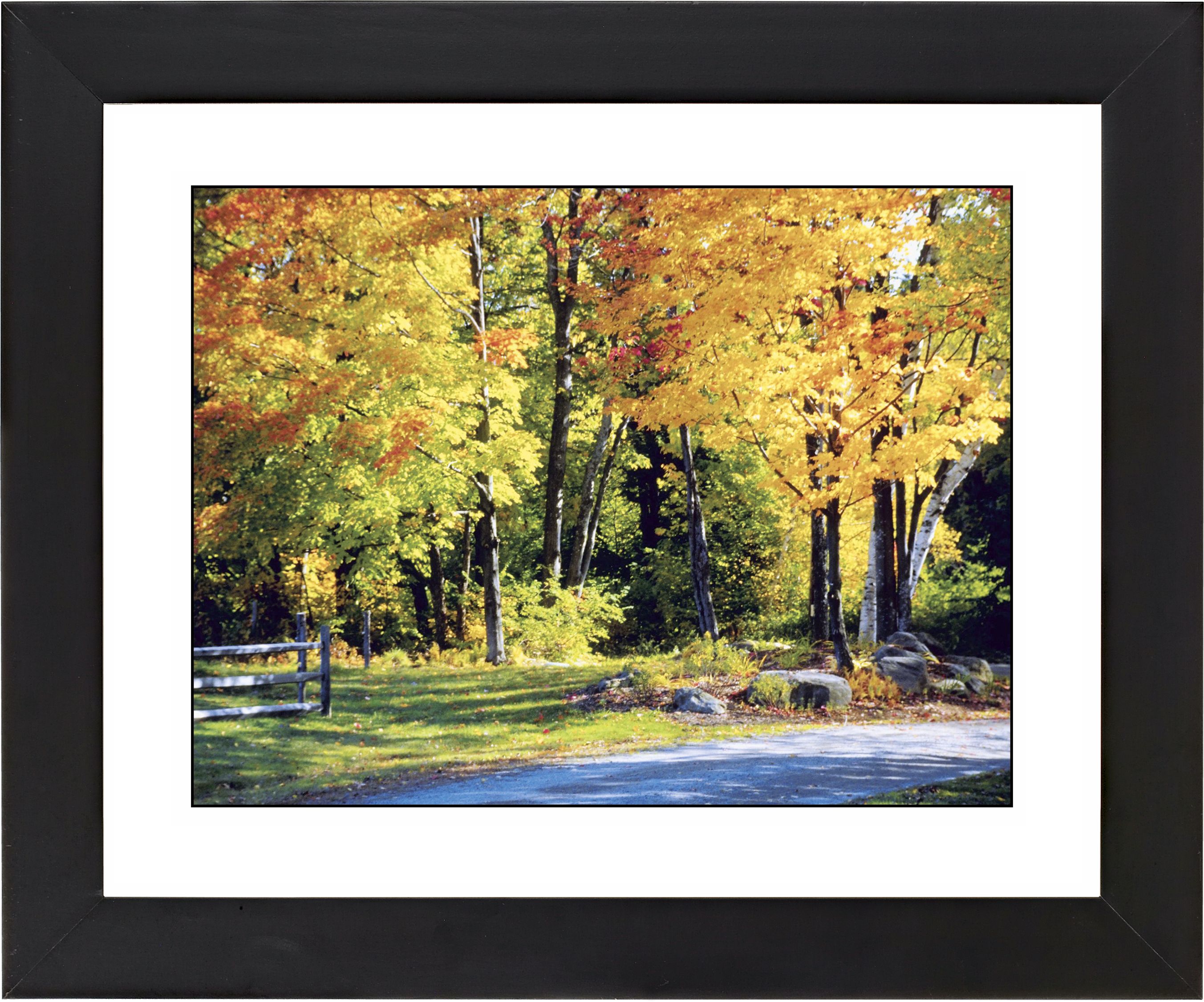 Falling Leaves Black Frame Giclee Wall Art