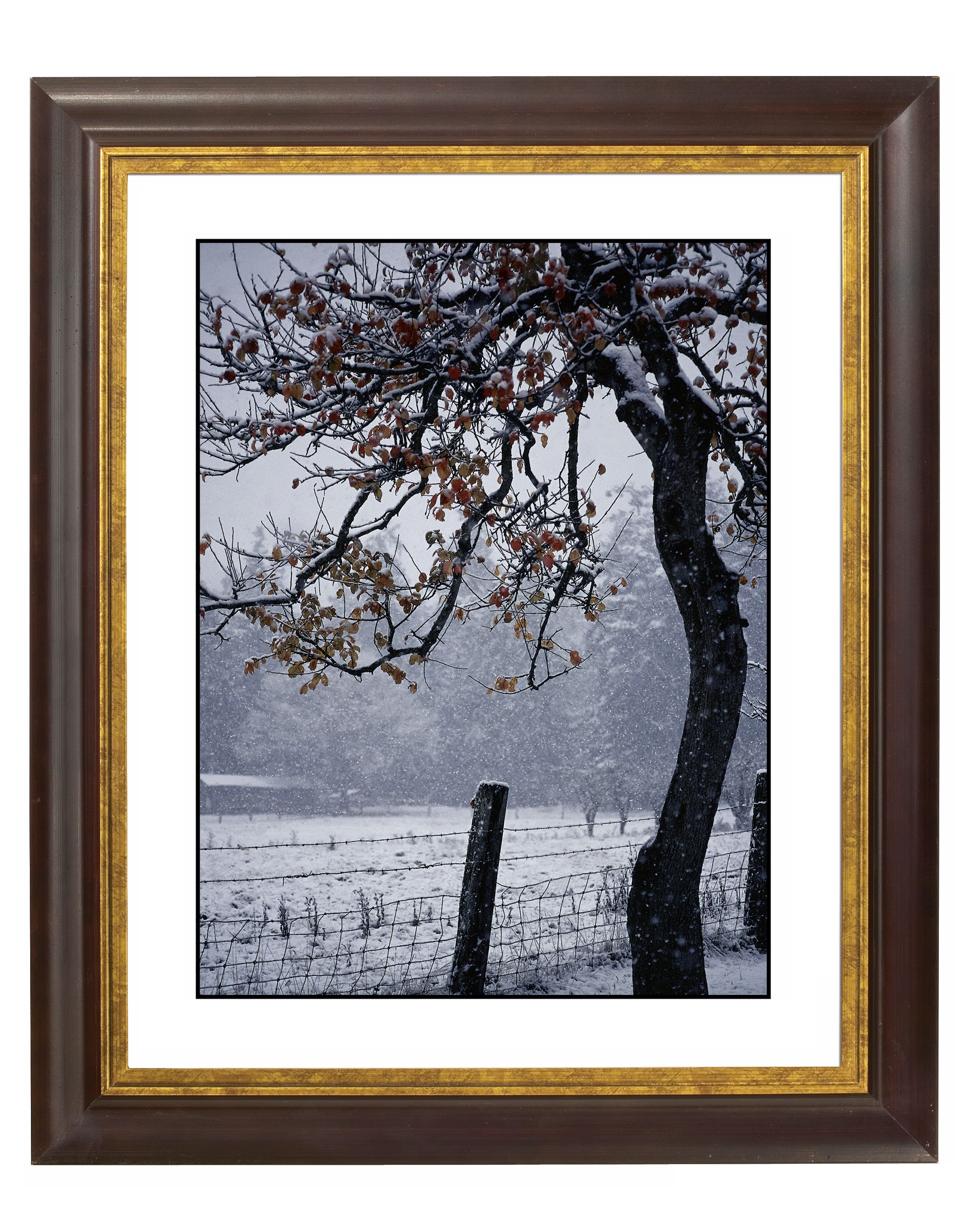 Foggy Day Gold Bronze Frame Giclee Wall Art