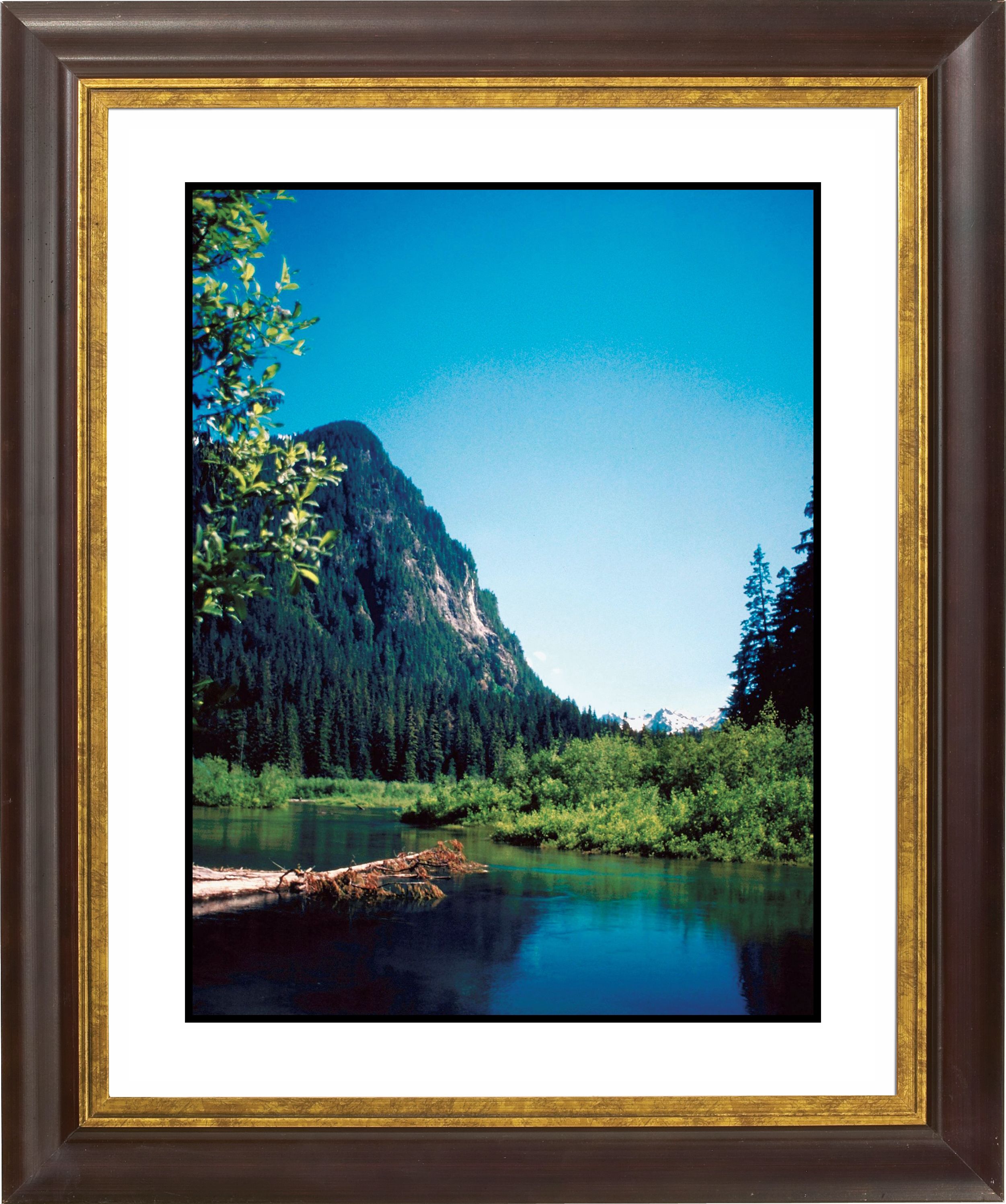 Rocky Mountain View Gold Bronze Frame 20 High Wall Art F0730 18019