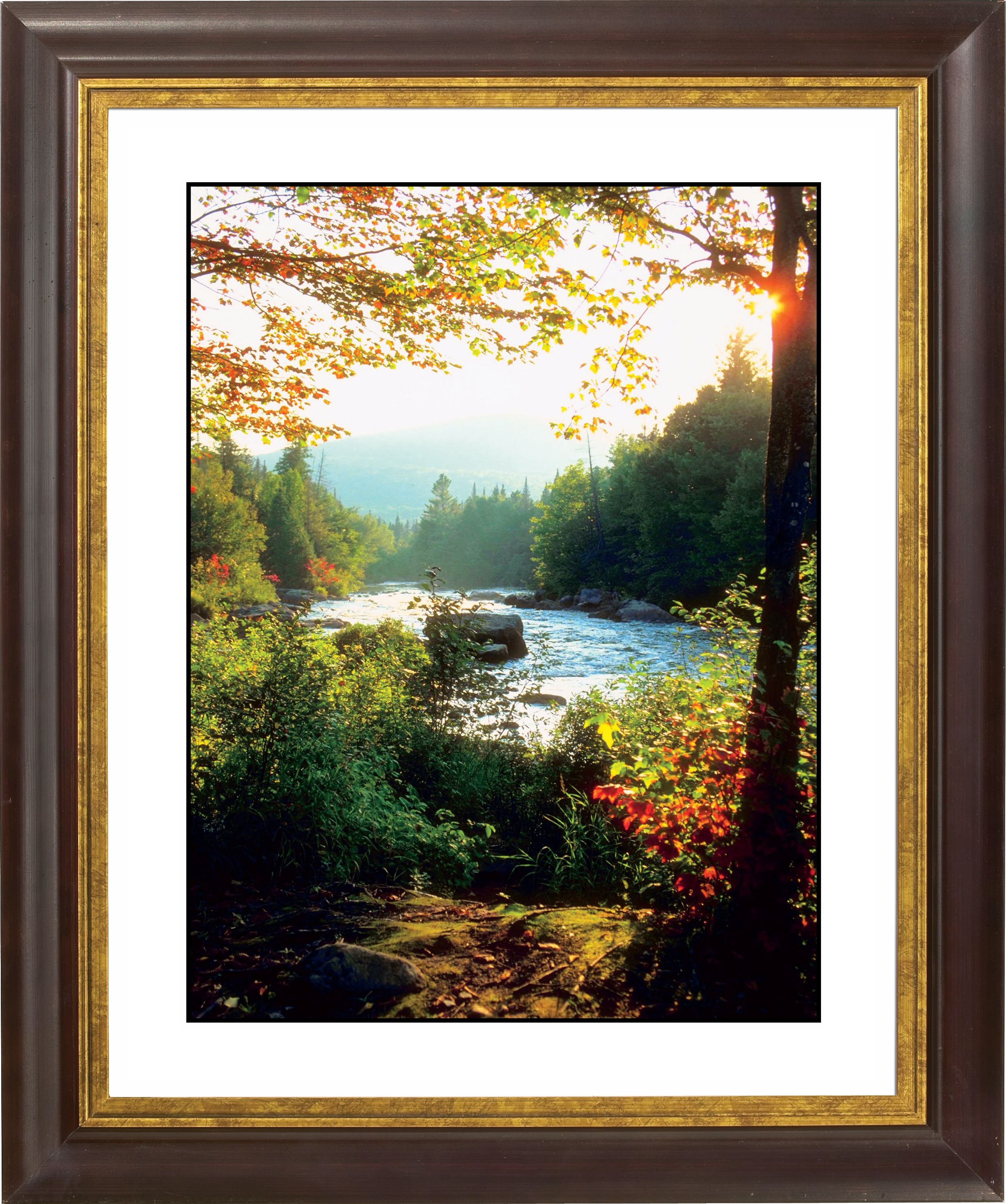 Indian Summer Day Gold Bronze Frame Giclee 20 High Wall Art F0759 18019