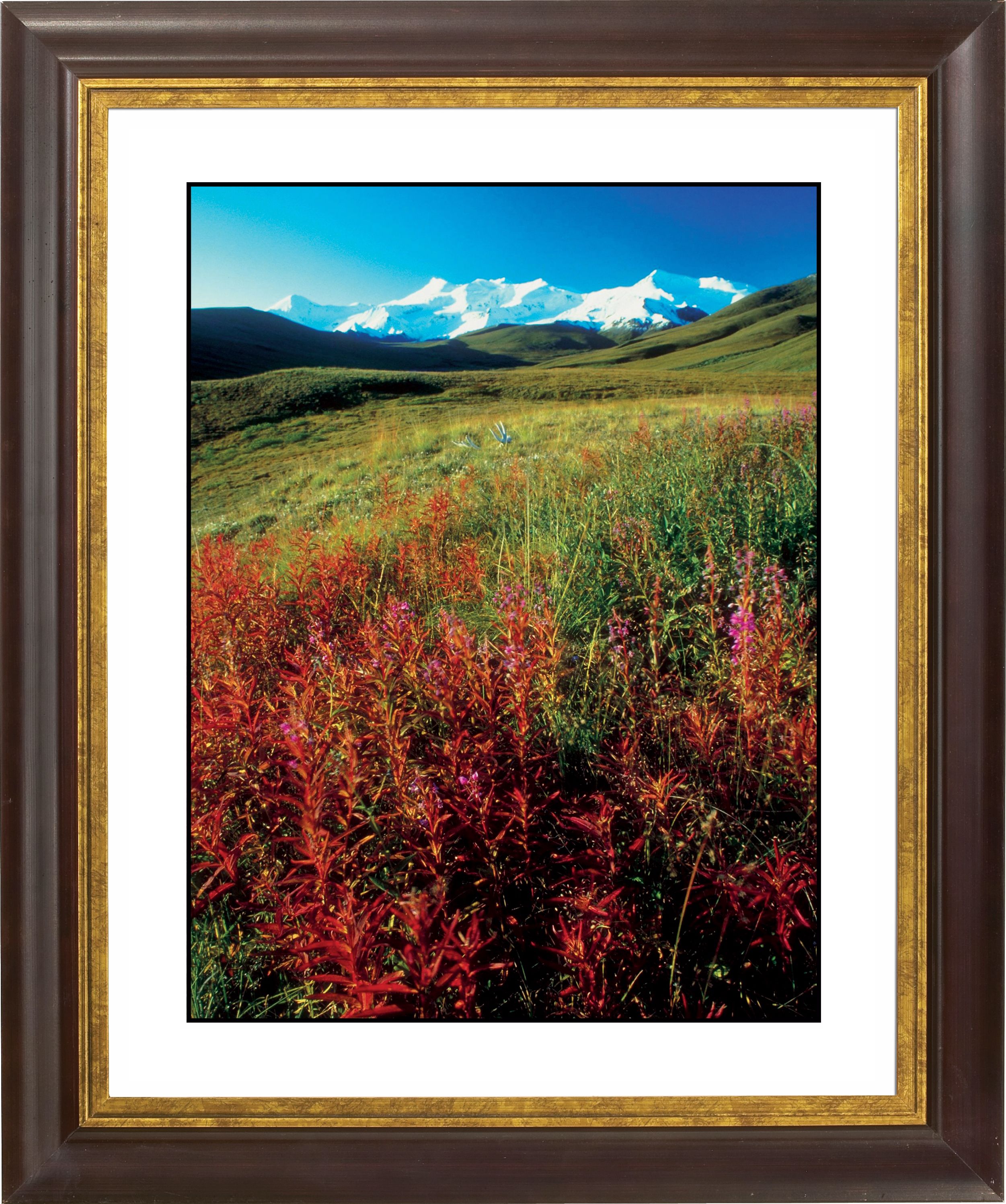 Snowy Mount W/Wildflowers Gold Bronze Frame Giclee Wall Art