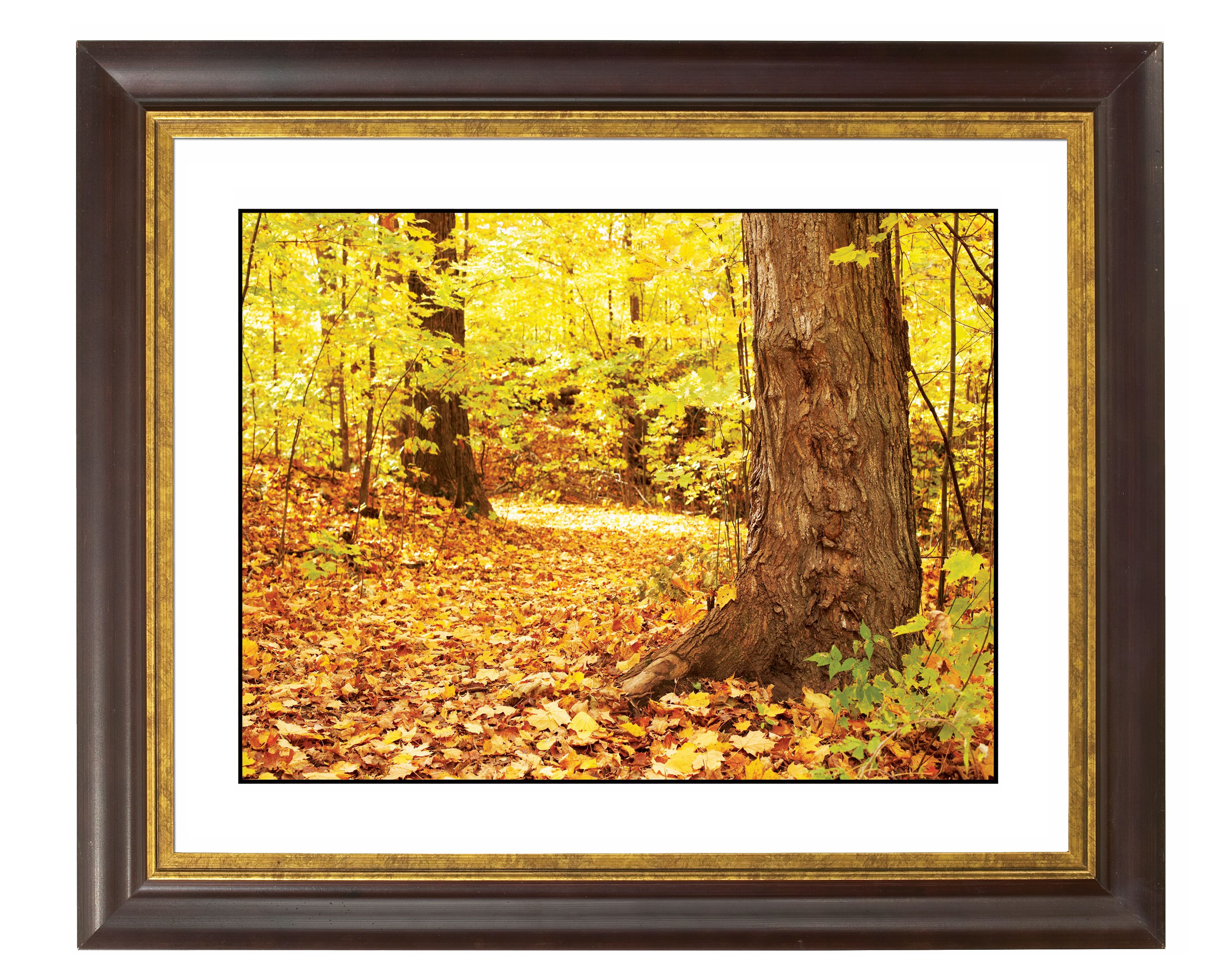 Autumn Carpet Gold Bronze Frame Giclee Wall Art