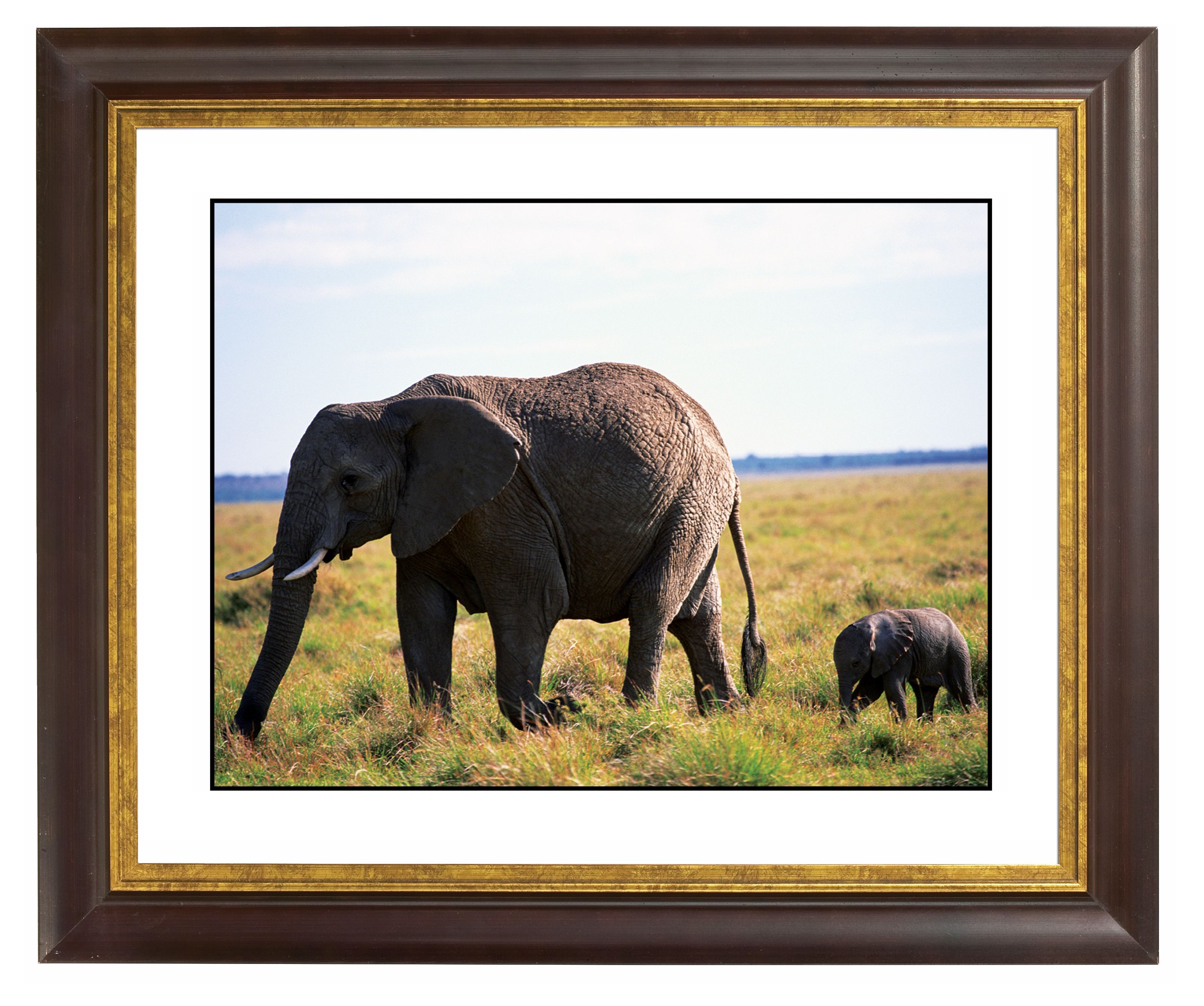 African Elephant And Calf Gold Bronze Frame Giclee Wall Art