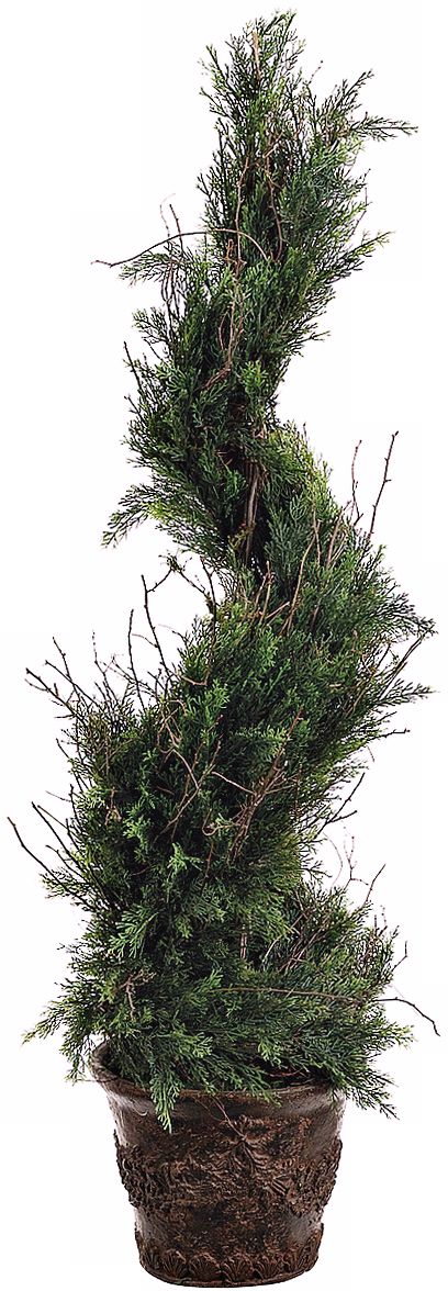 Italian Spiral Cypress Topiary Faux Plant