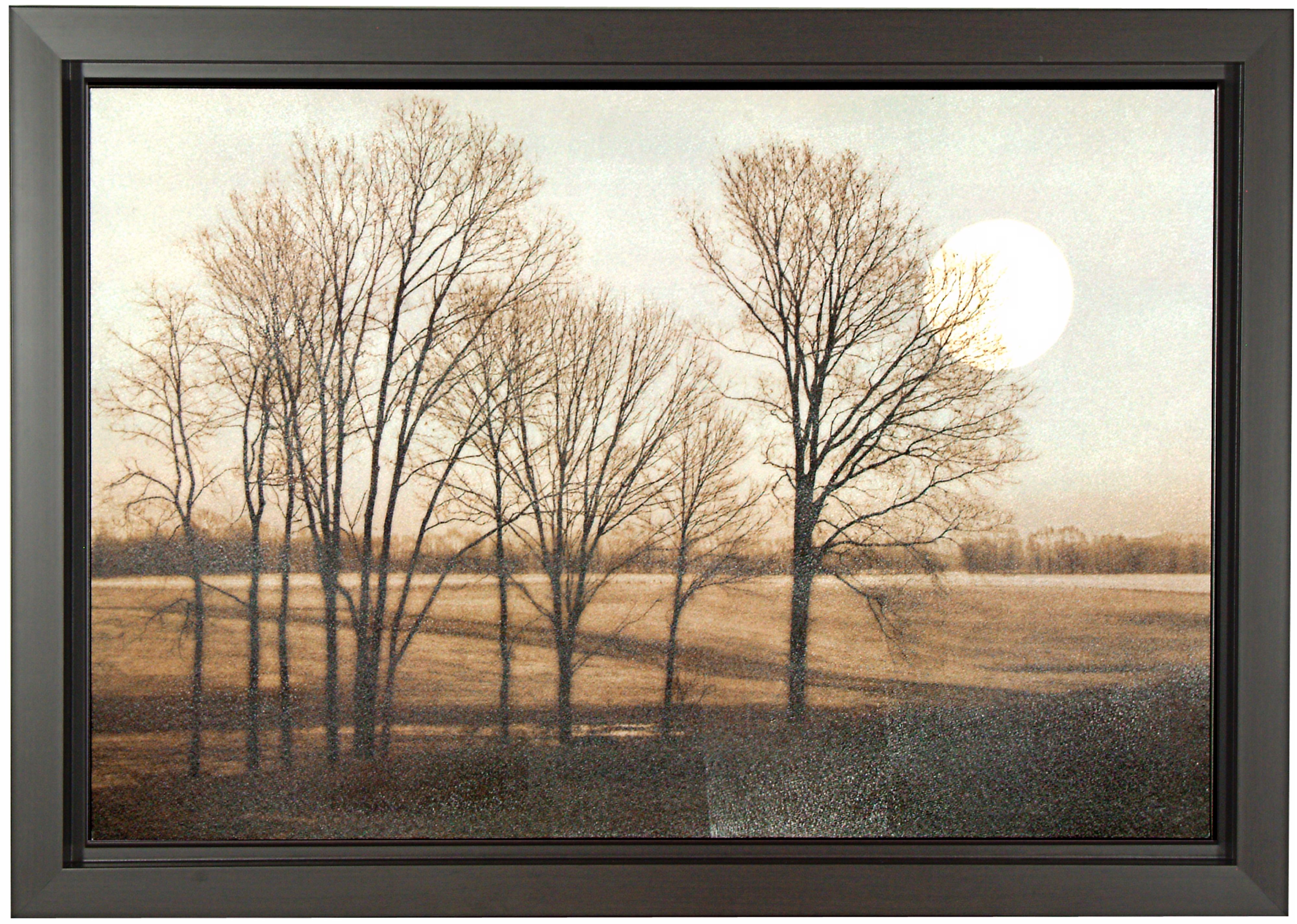 November Moon Textured 41" Wide Art Print