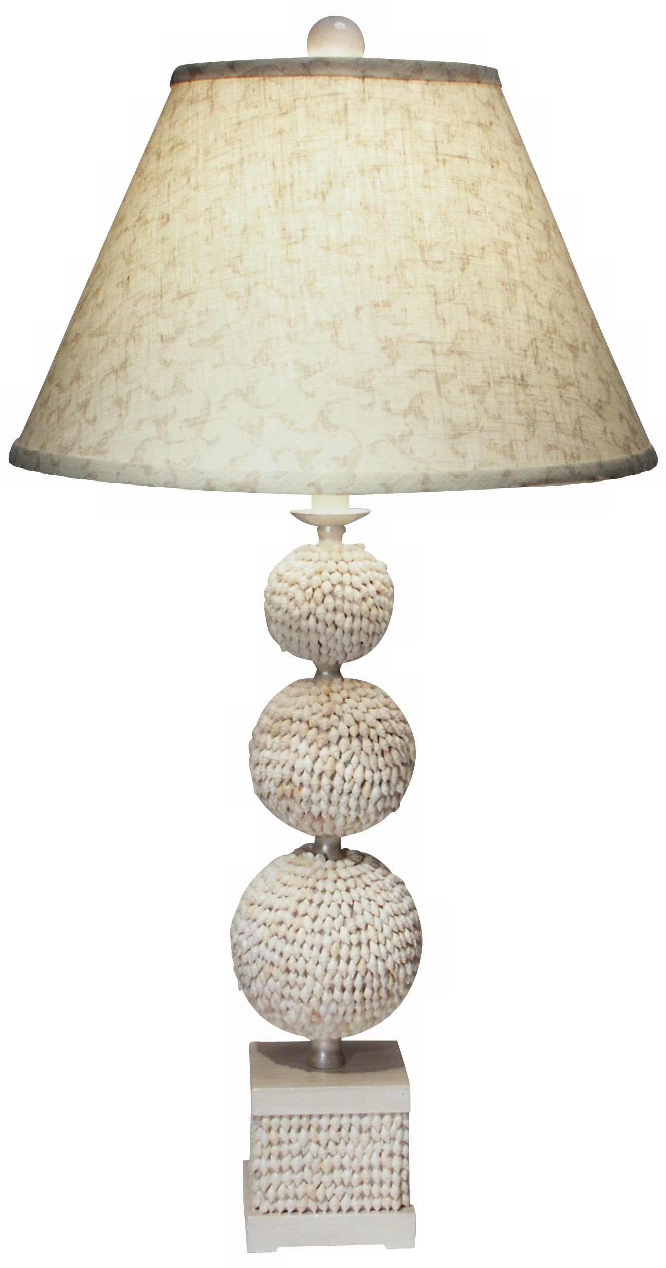 Poodle Shell Table Lamp by The Natural Light