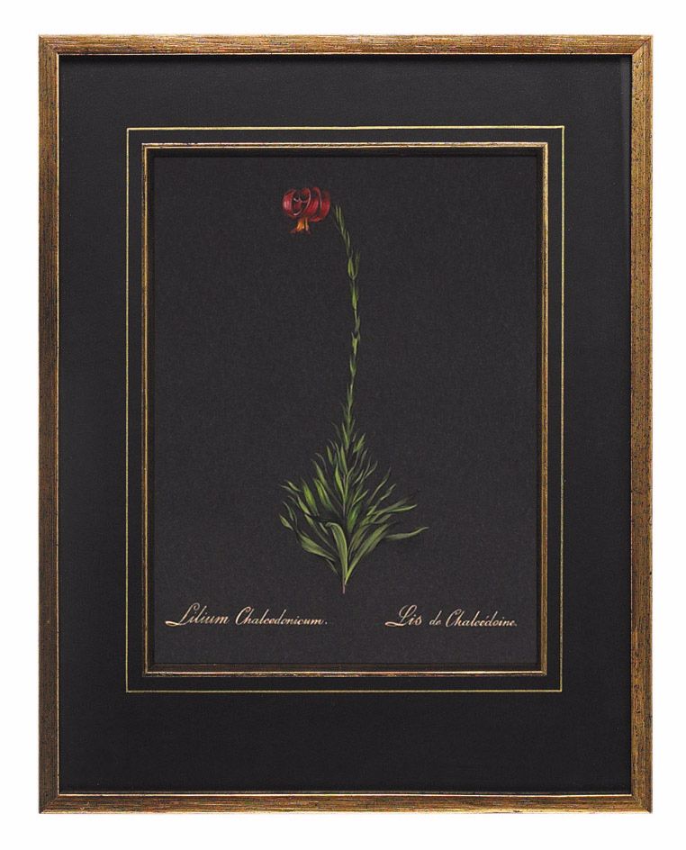 Redoute Lillium Hand Painted Wall Art