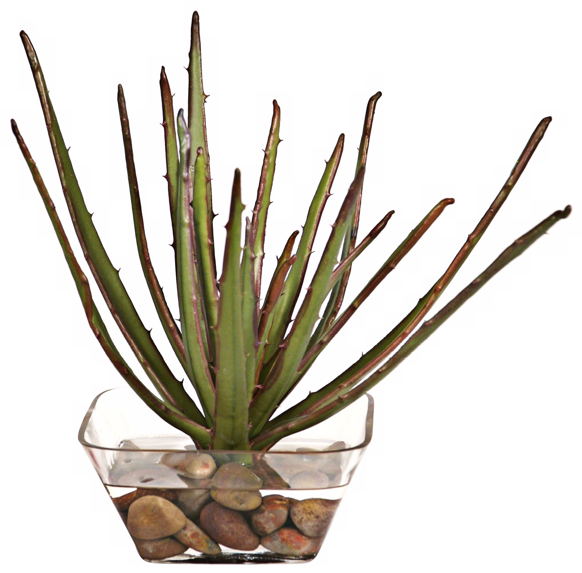 Faux Aloe Plant with Stones