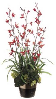 Dendrobium and Succulent Faux Flower Arrangement G7608