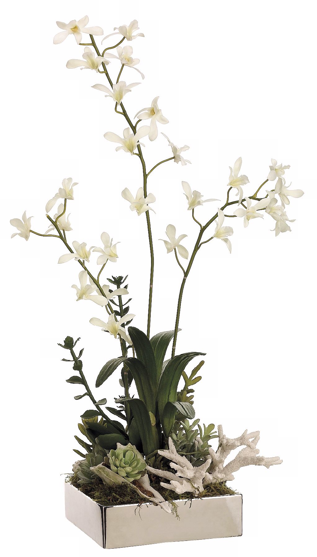 Orchid Seashell & Succulent Faux Flower Arrangement