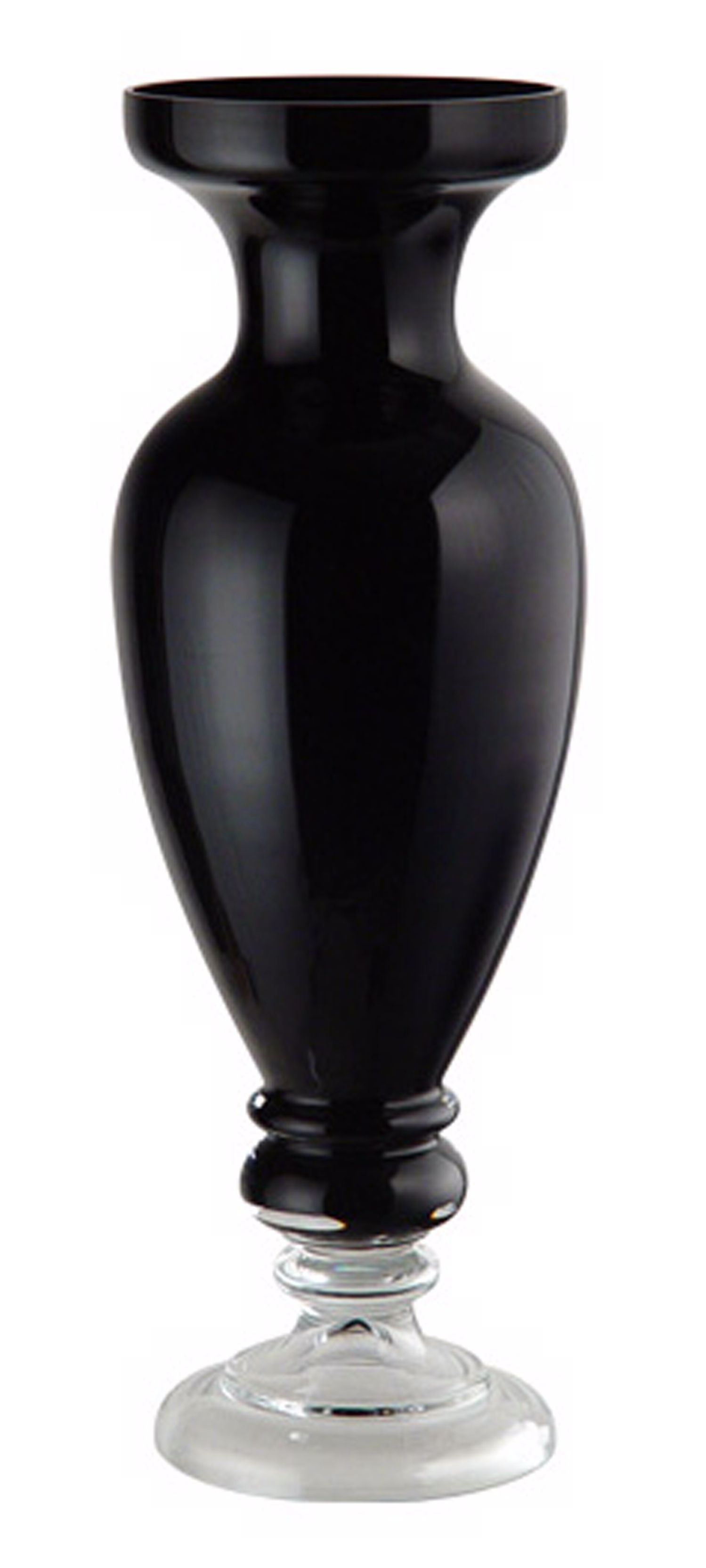 Black Mouth Blown Glass Vase