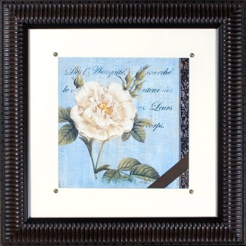 Vintage Rose II Print Under Glass 21" Square Wall Art