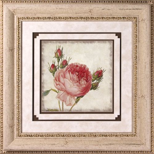Close Up Rose II Print Under Glass 22" Square Wall Art