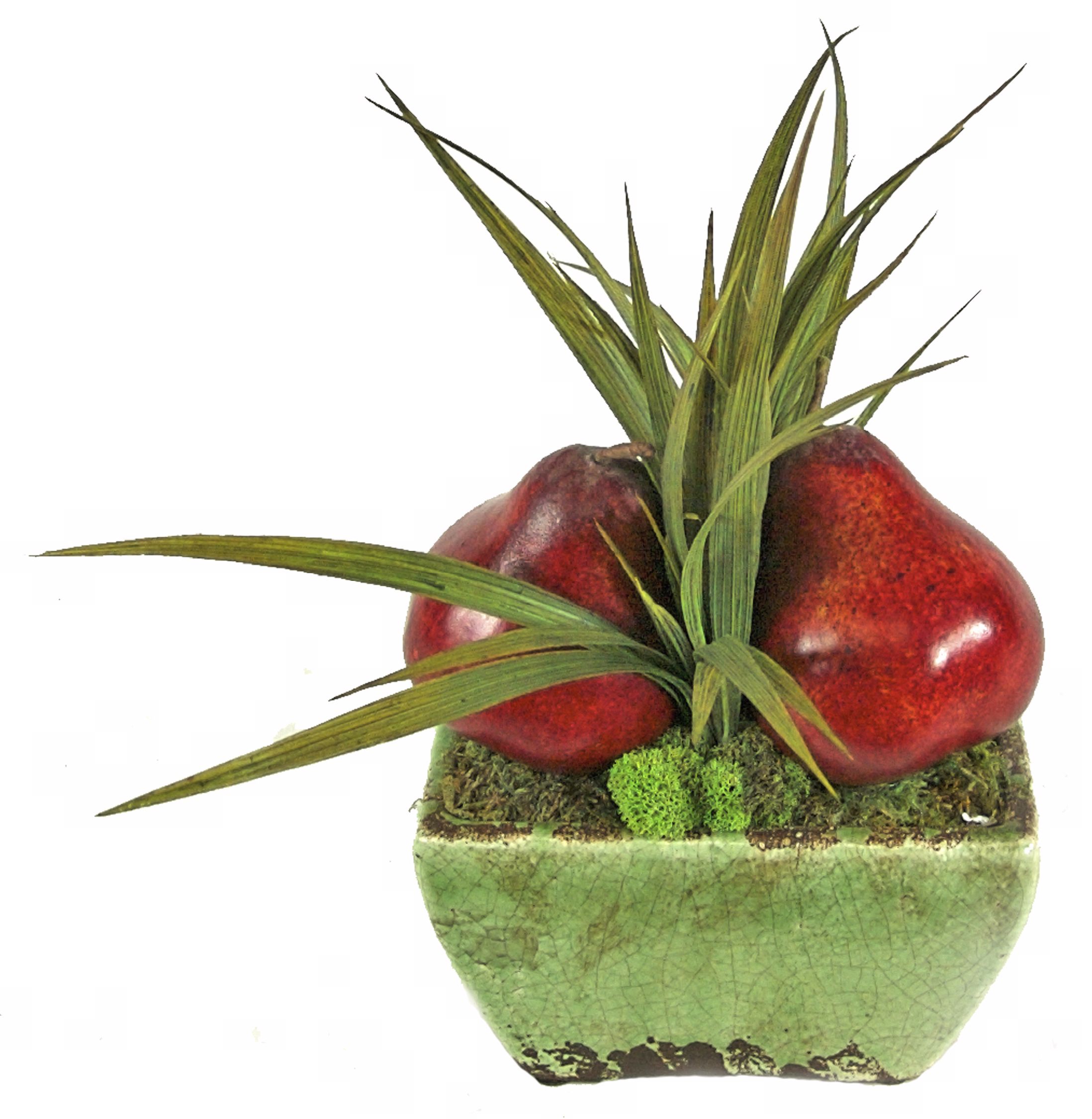 Wild Grass and Pears Floral Arrangement