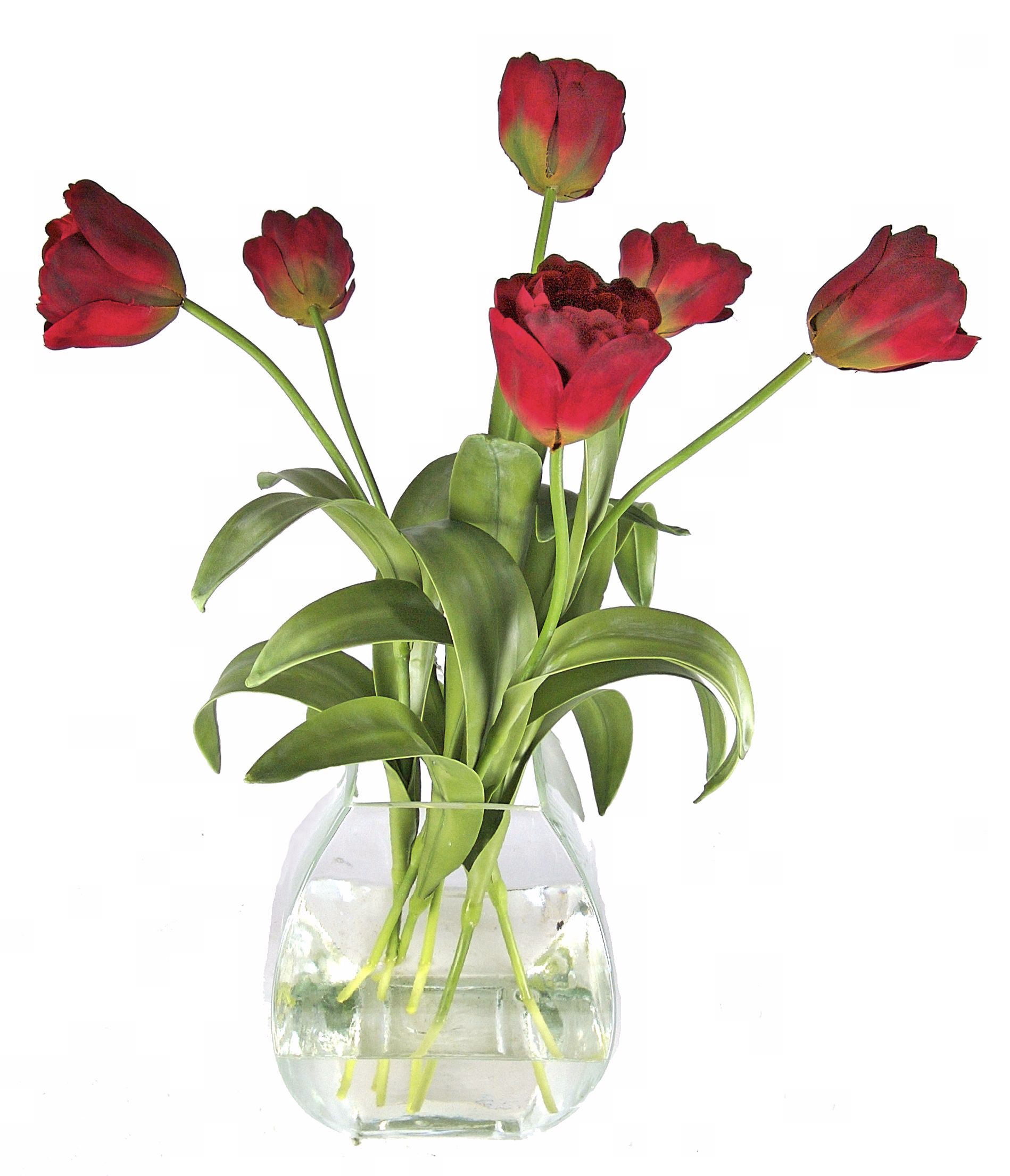 Tulip Flowers Water Garden
