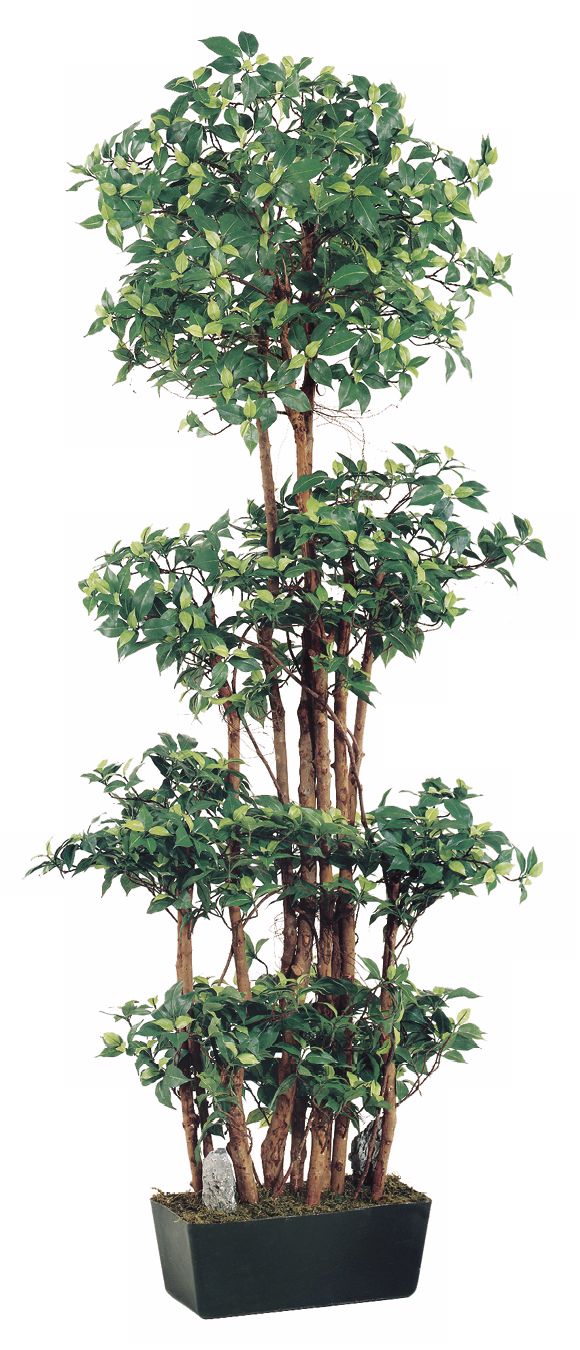 Faux 72" High Ficus Wall Tree