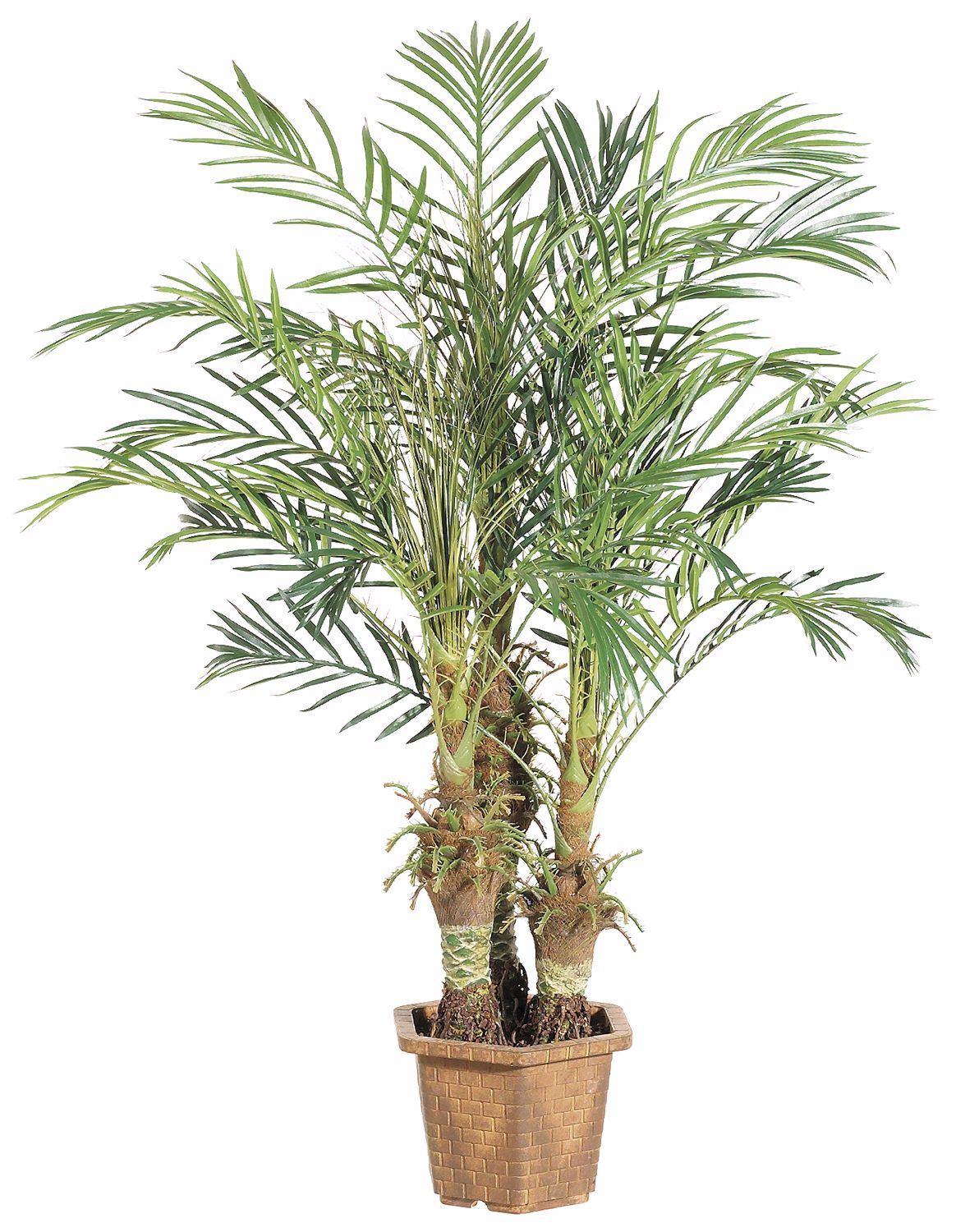 Faux 60" High Robellini Palm Tree