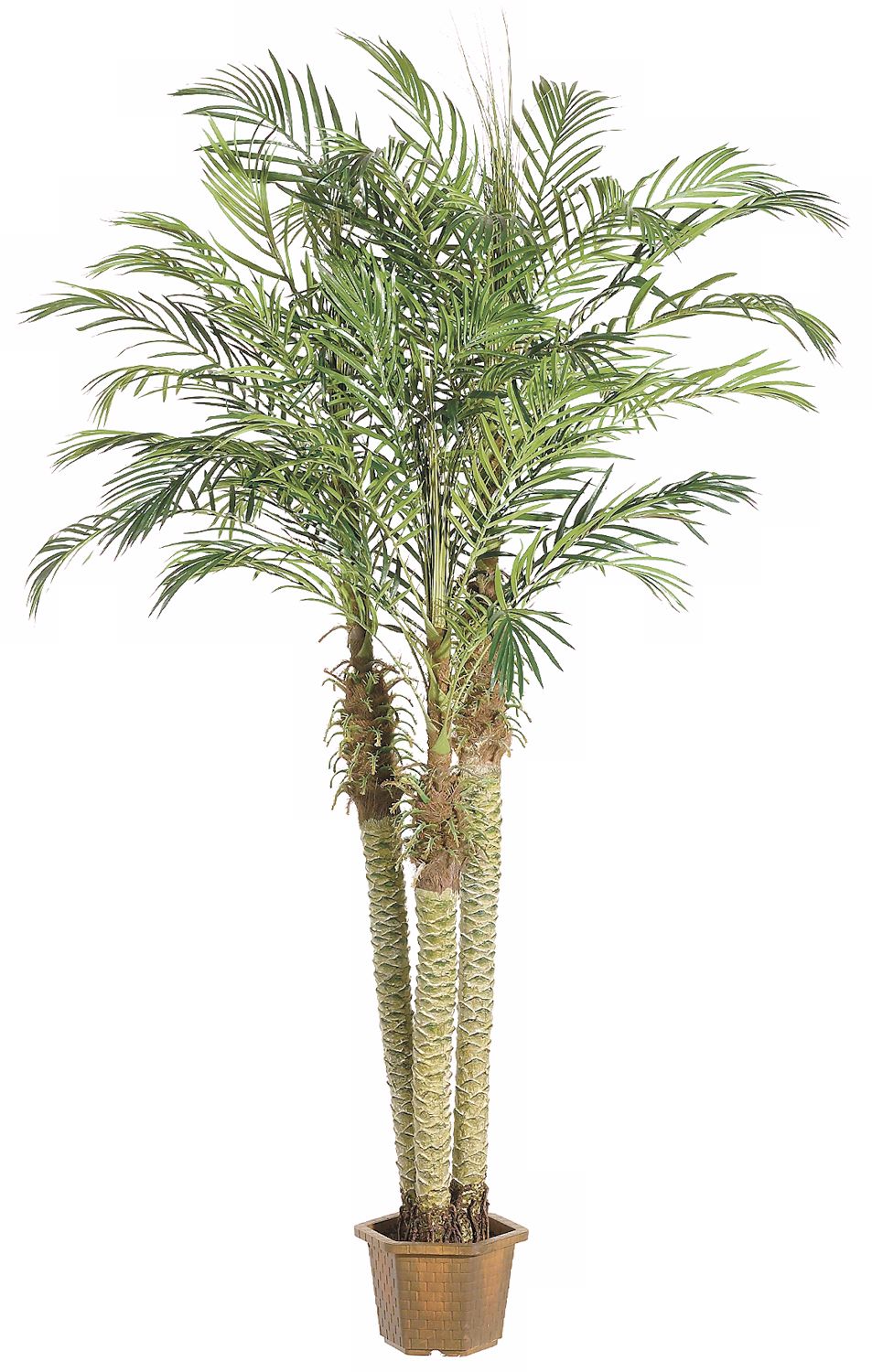 Faux 96" High Robellini Palm Trees