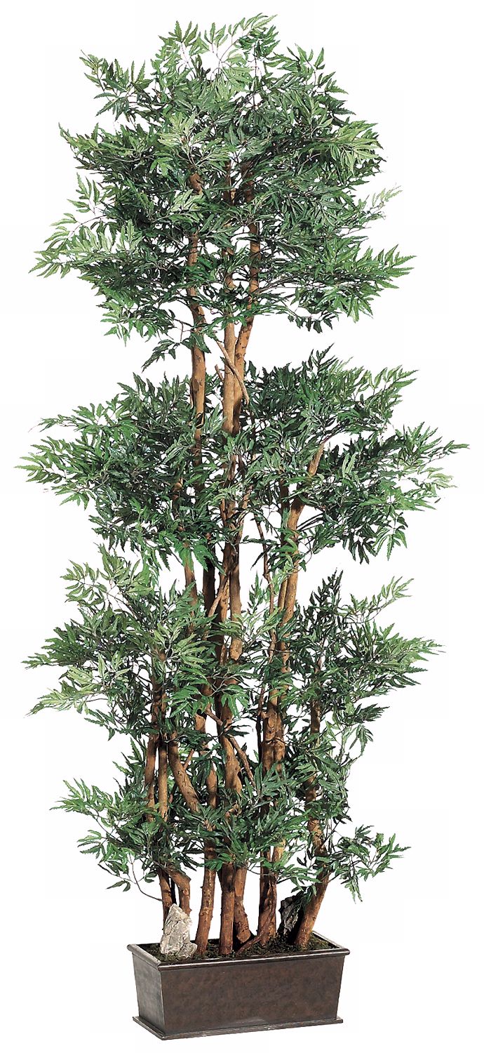 Ming Aralia 74" High Faux Wall Tree