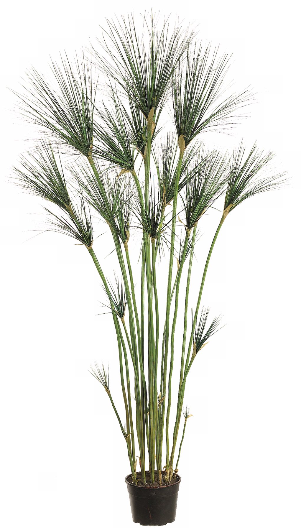 Faux 60" High Egyptian Onion Grass Tree