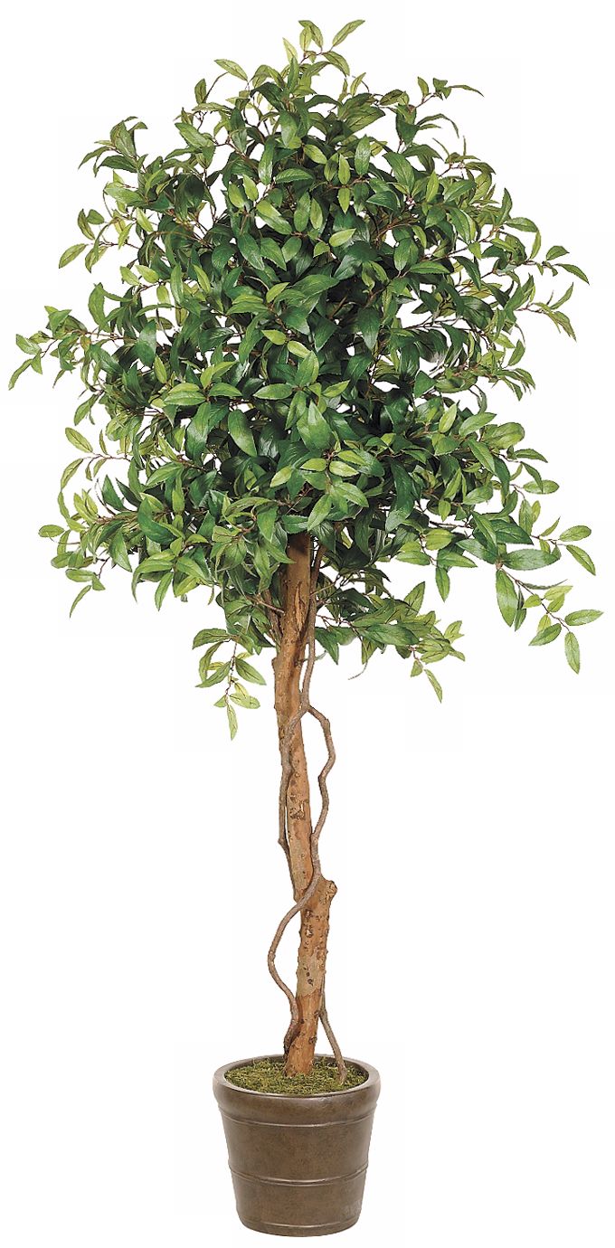 Faux 72" High Queen Leaf Tree