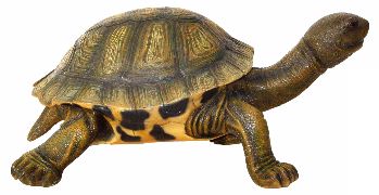 Small Tortoise Decorative Sculpture