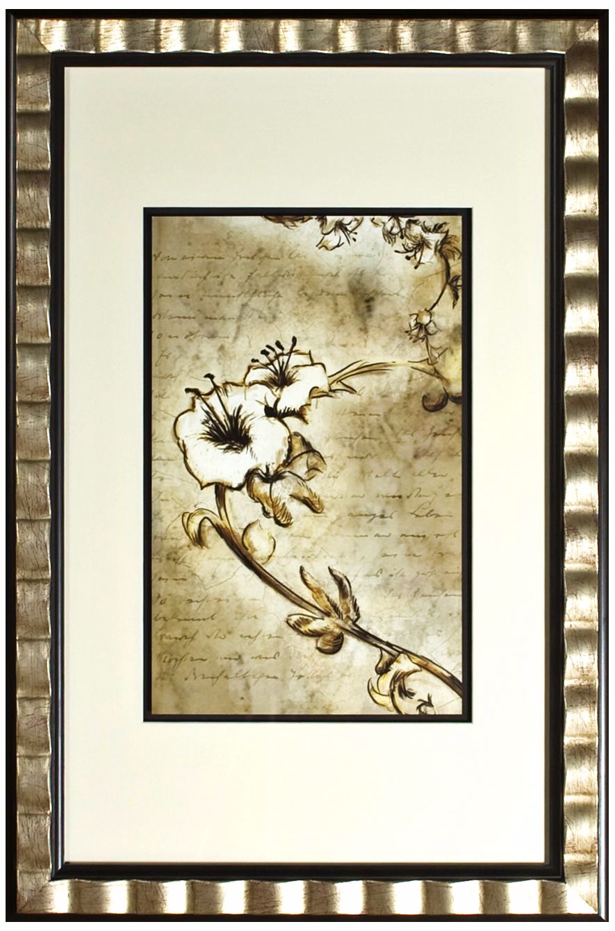 Disney Song of the South Floral 2 Print Framed Wall Art (J2808)