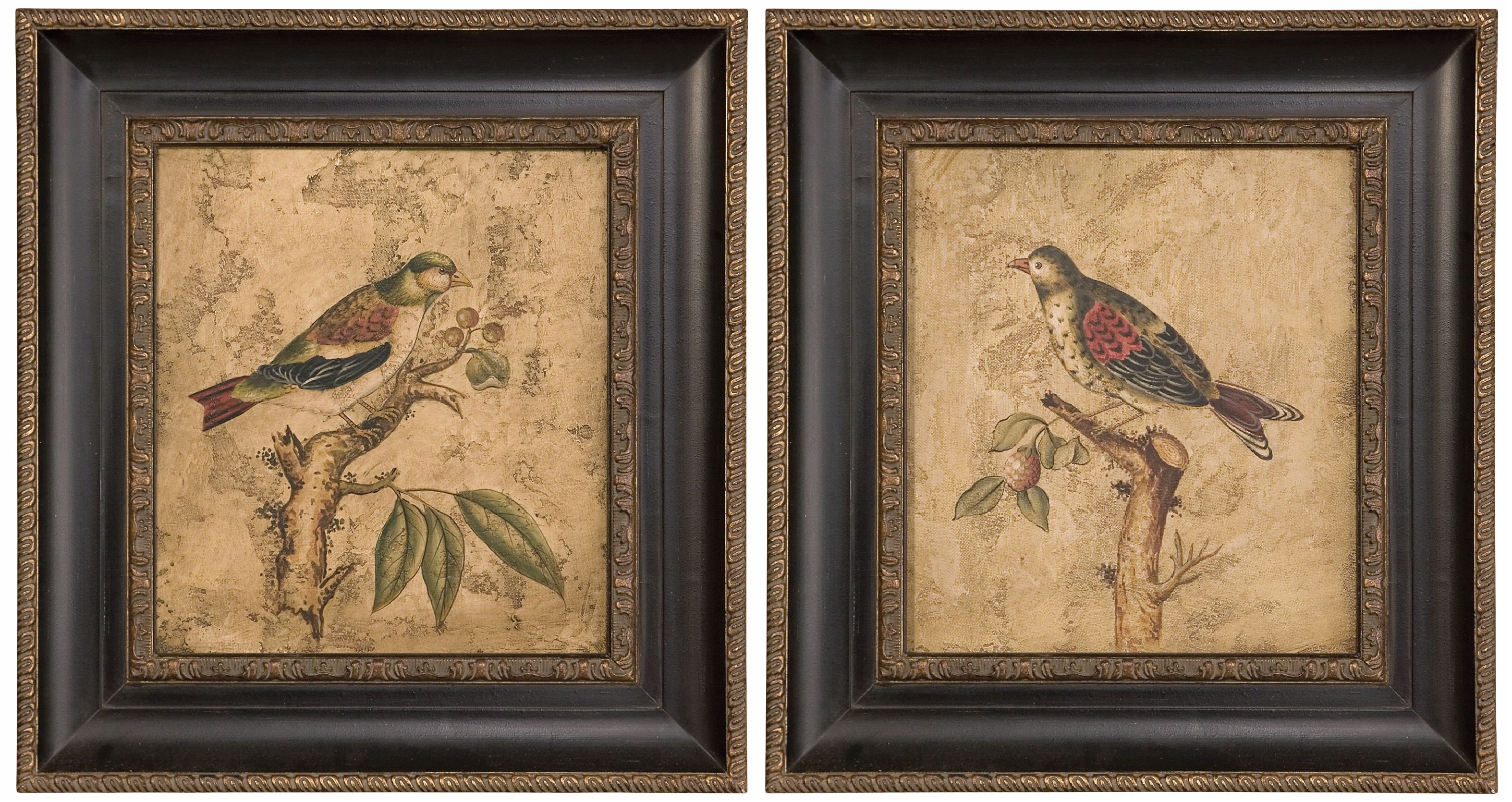 Uttermost Set of 2 Colorful Birds Hand-Painted Wall Art